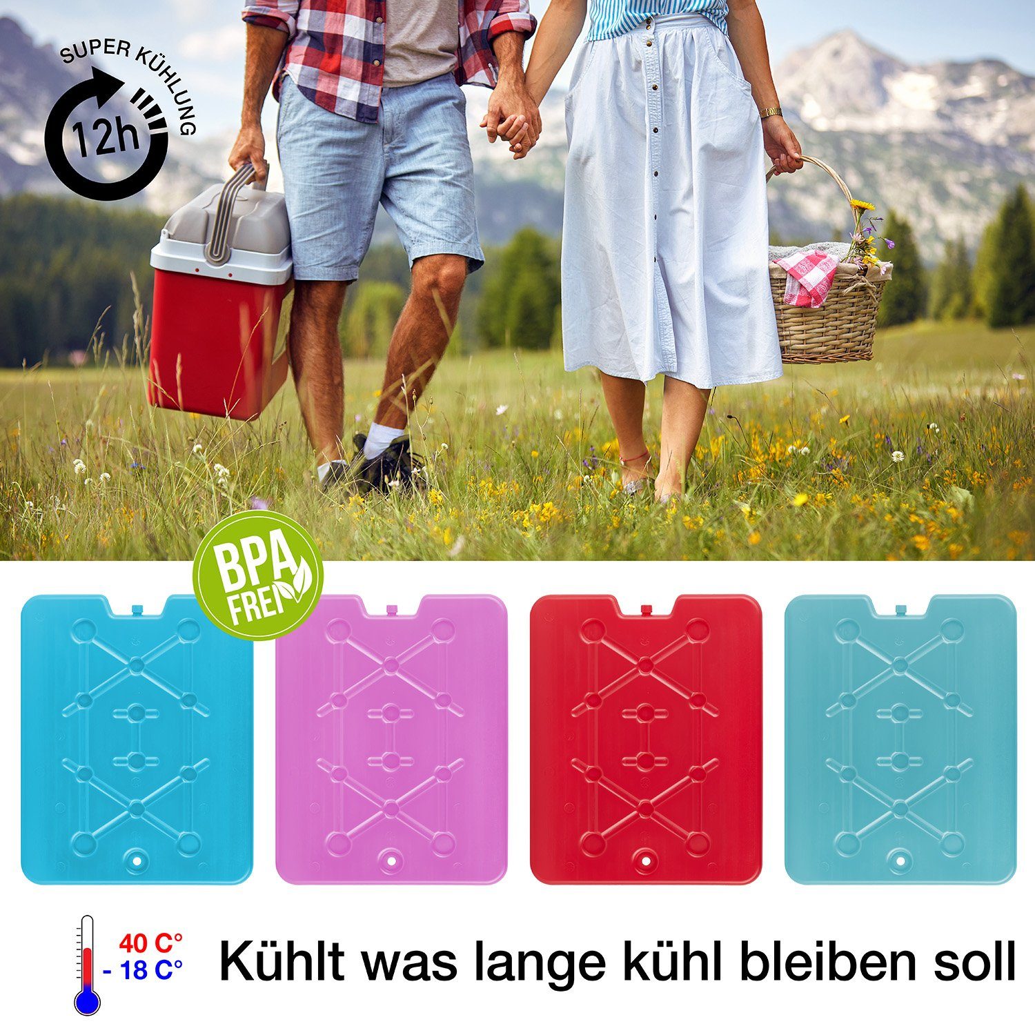 BigDean Kühlakku 4x XXL Kühlakkus je 750ml für Kühltasche & Kühlbox 32x25,5x1,5cm