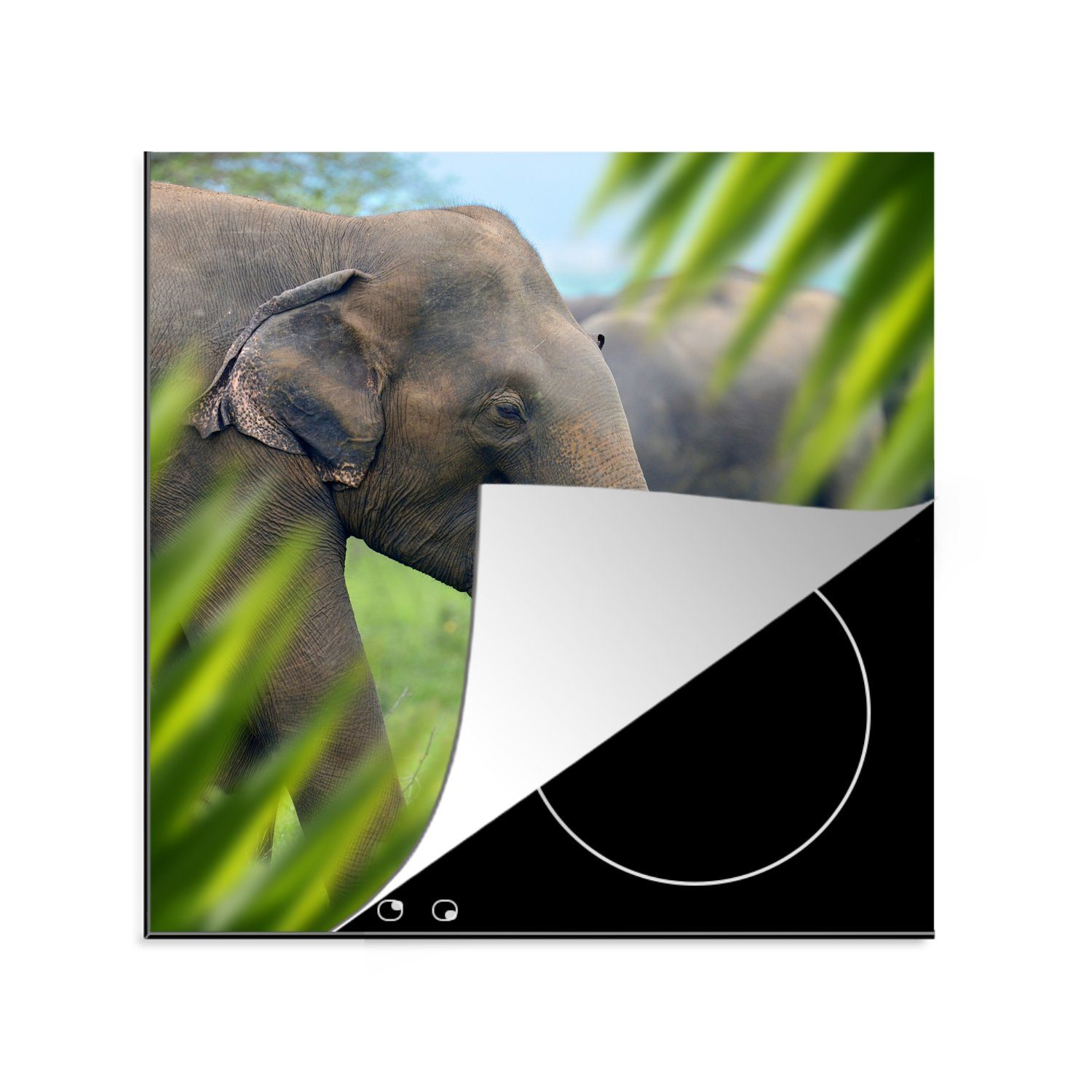 MuchoWow Herdblende-/Abdeckplatte Elefant - (1 Tiere, küche tlg), Ceranfeldabdeckung, für Palme Arbeitsplatte Vinyl, 78x78 - cm