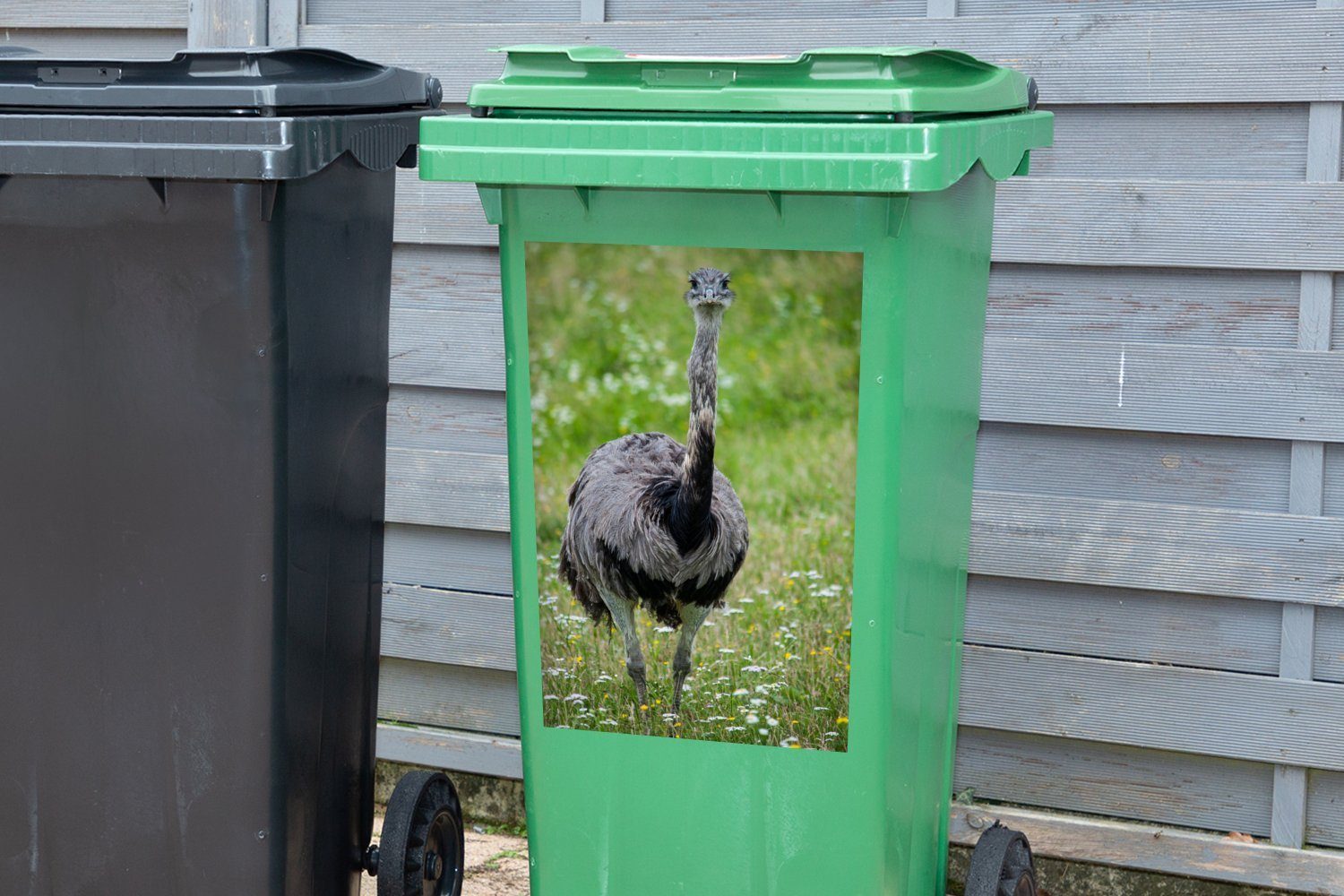 MuchoWow Wandsticker Ein Nandu (1 Ebene Abfalbehälter schaut auf Sticker, Mülltonne, in Kamera Mülleimer-aufkleber, grünen Container, die St), einer