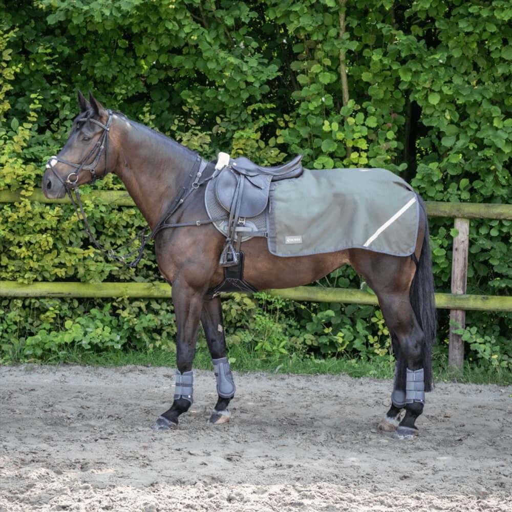 Ausreitdecke Busse Trainingsdecke Rain FX 50g