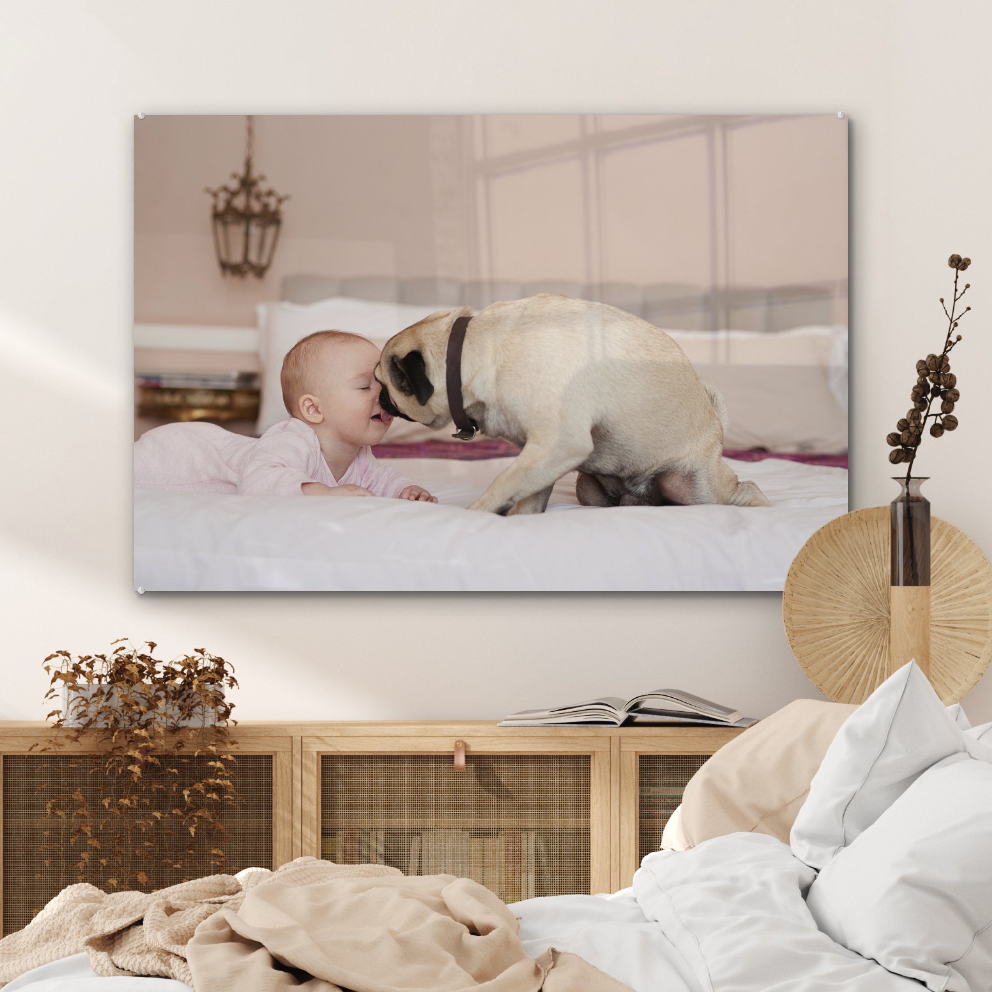 (1 leckt Wohnzimmer Acrylglasbilder & mit Baby Schlafzimmer Hund Acrylglasbild Gesicht, St), MuchoWow
