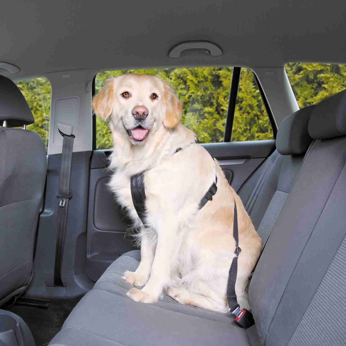 TRIXIE Autohundegeschirr Auto-Geschirr - schwarz - 70–90 cm/25 mm