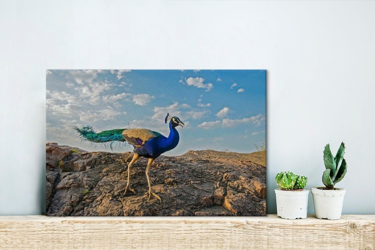 Leinwandbilder, - Aufhängefertig, (1 Wandbild 30x20 Berg - Pfau Wanddeko, Blau, Leinwandbild cm St), OneMillionCanvasses®