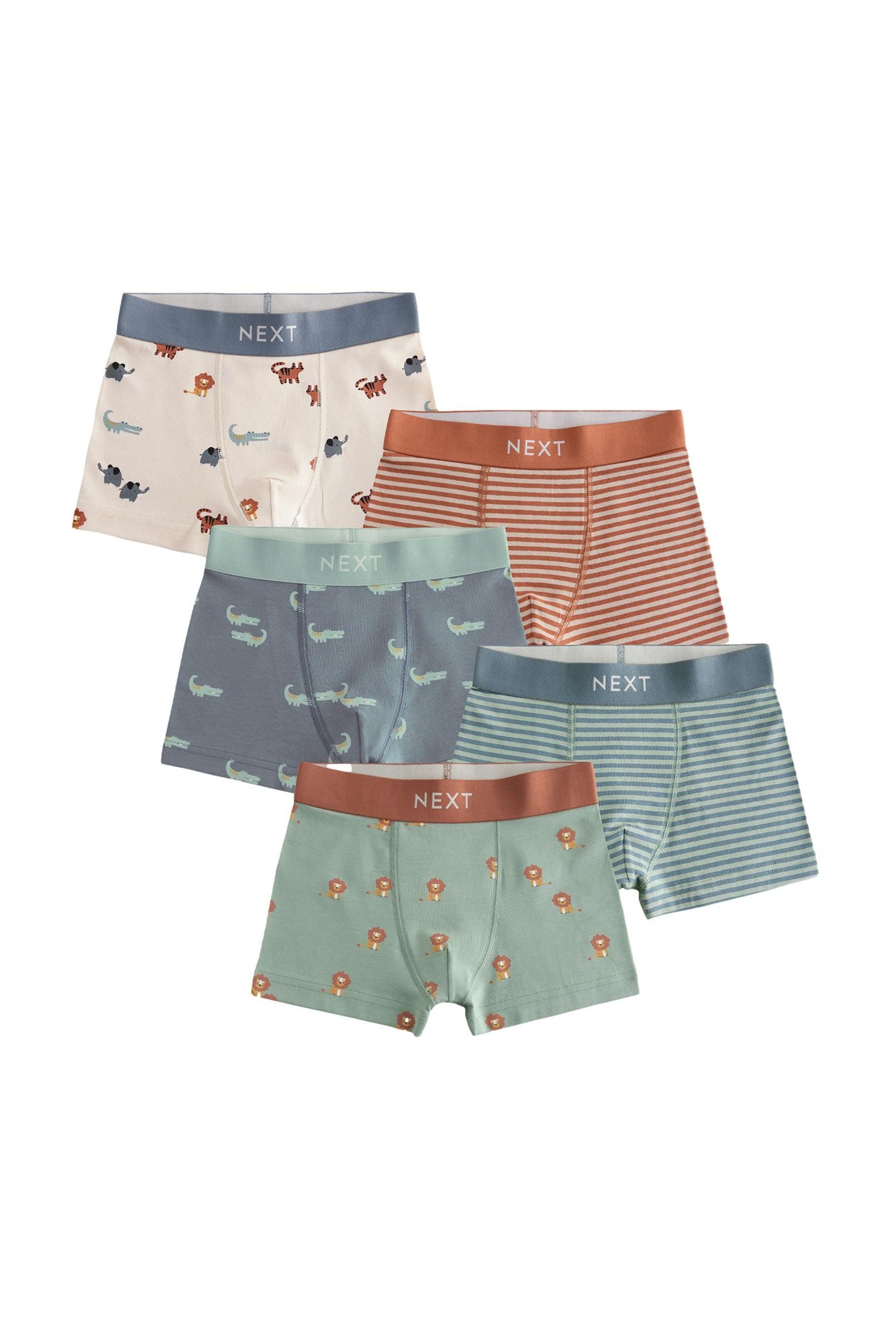 Trunk Boxershorts im 5er-Pack