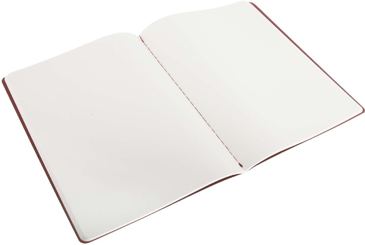 MOLESKINE Notizbuch Notizheft Cahier XL 19x25cm VE=3 Stück blanko preiselbeerrot