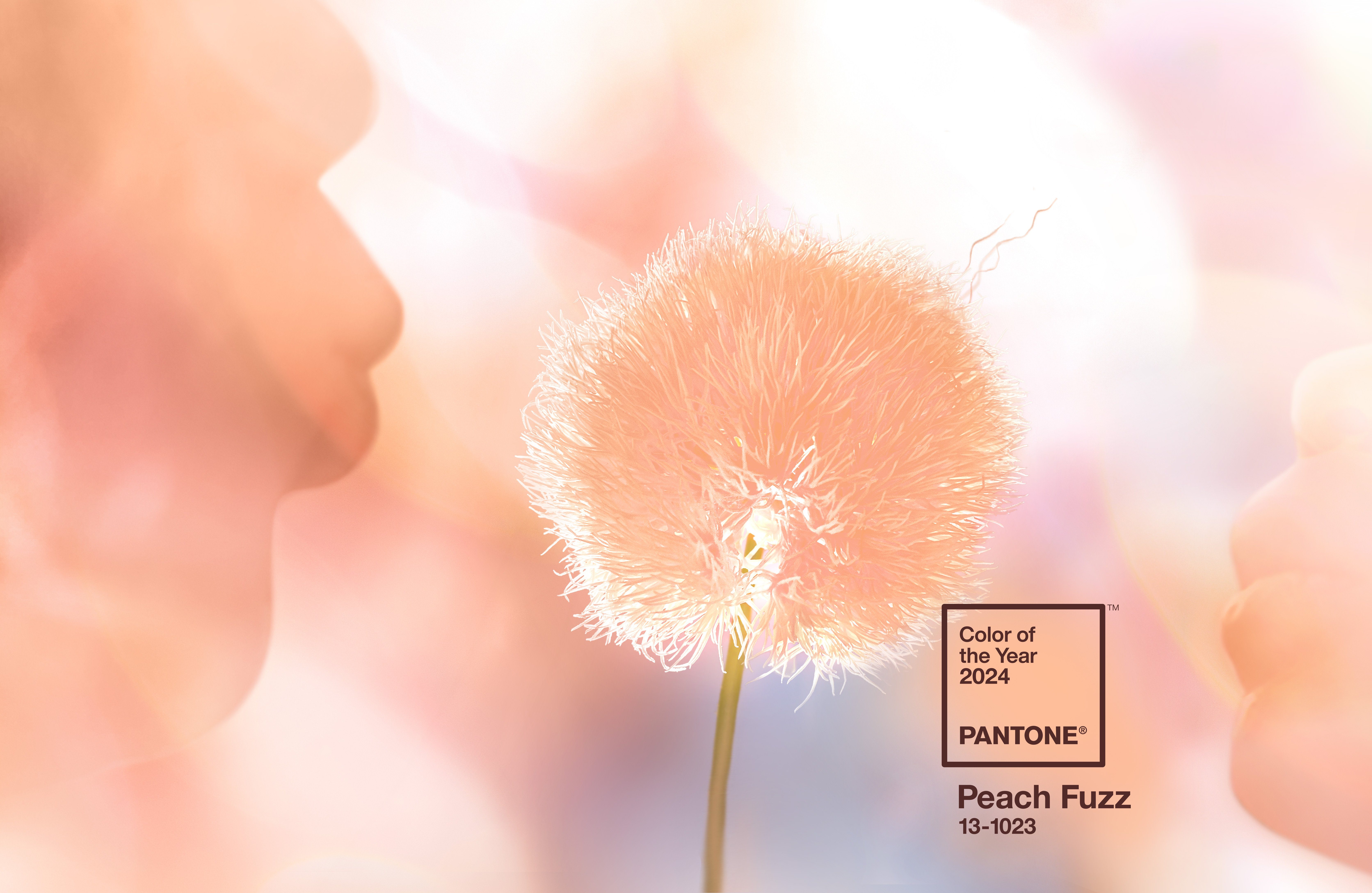 2024 Schlüsselanhänger Fuzz Schlüsselband, 2024 Peach PANTONE 13-1023, - COY Jahres des Farbe
