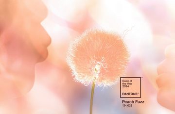 PANTONE Kaffeeservice Kaffeetasse Porzellan, 375ml, COY 2024 - Peach Fuzz 13-1023, Farbe des Jahres 2024 Pantone