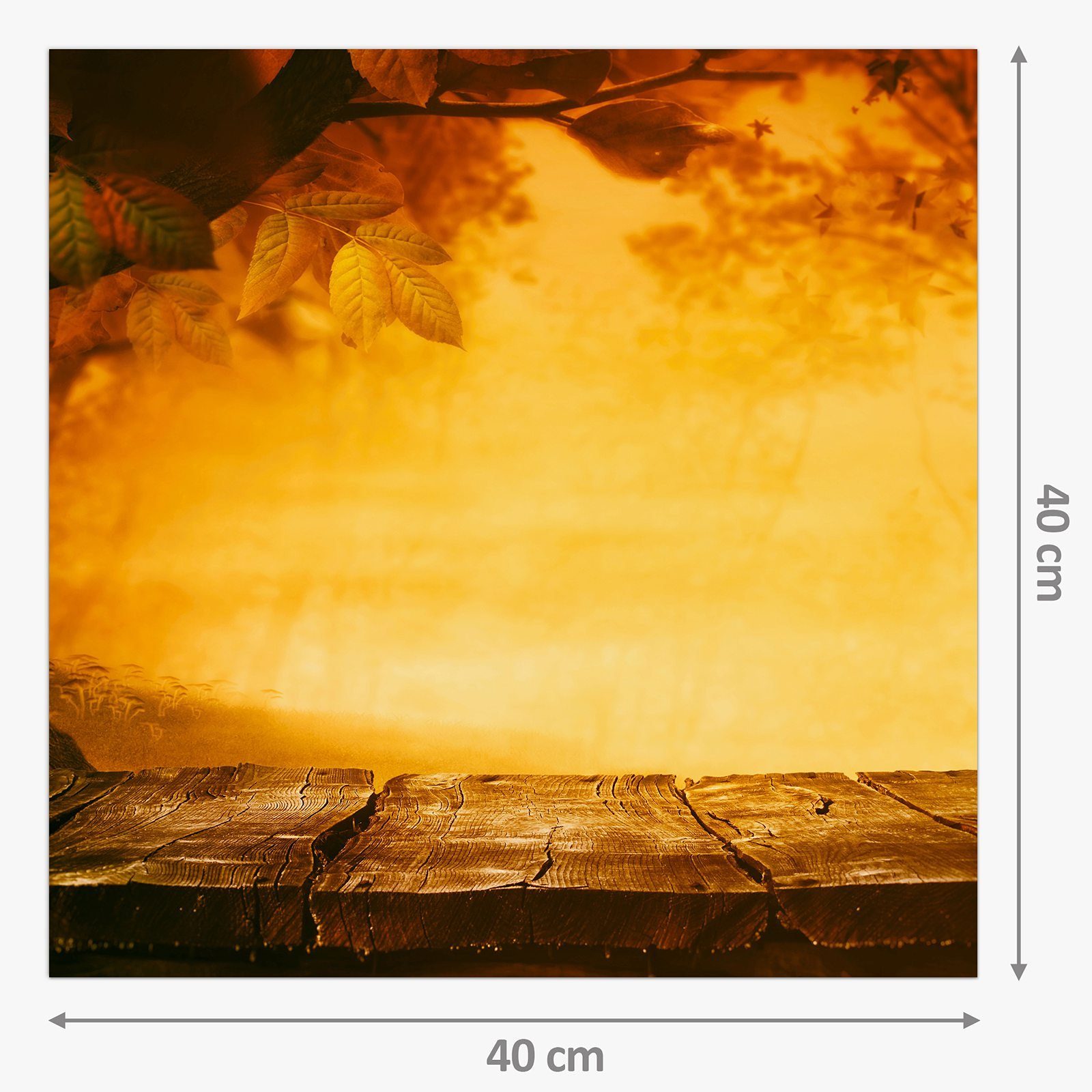 Primedeco Küchenrückwand Küchenrückwand Spritzschutz Glas Motiv mit Herbst Sonnenuntergang im