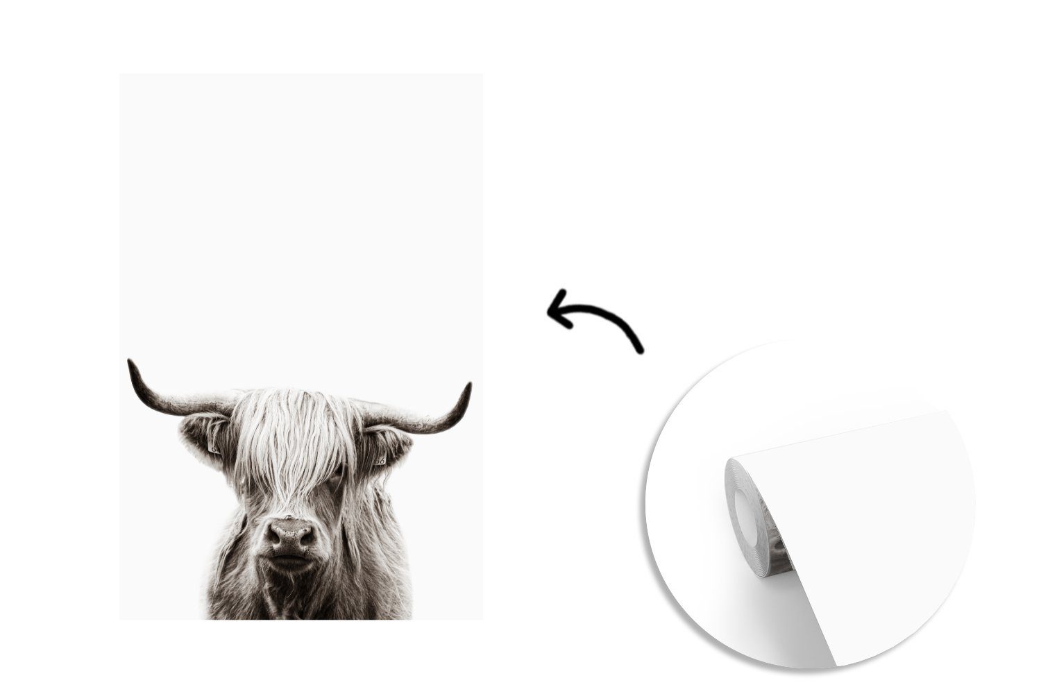 Highlander Wandtapete Tapete MuchoWow Matt, Weiß Schottischer Vinyl - St), Montagefertig (3 Kuh, Fototapete bedruckt, Wohnzimmer, - für
