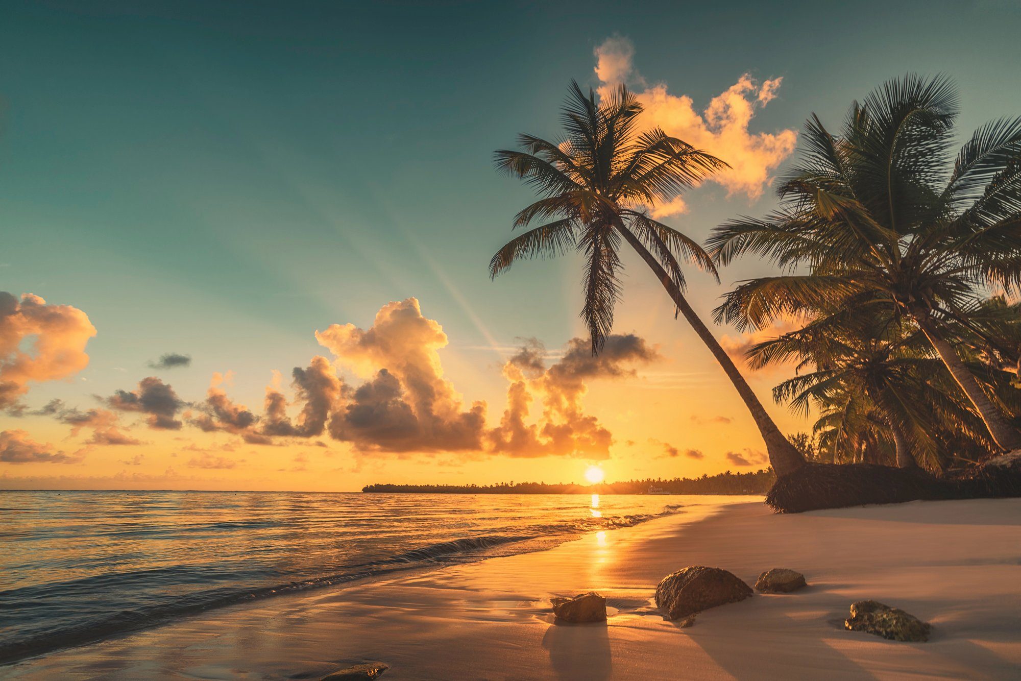 MEER Fototapete OZEAN PALMEN-STRAND-KARIBIK XXL SÜDSEE Papermoon SONNE DÜNEN