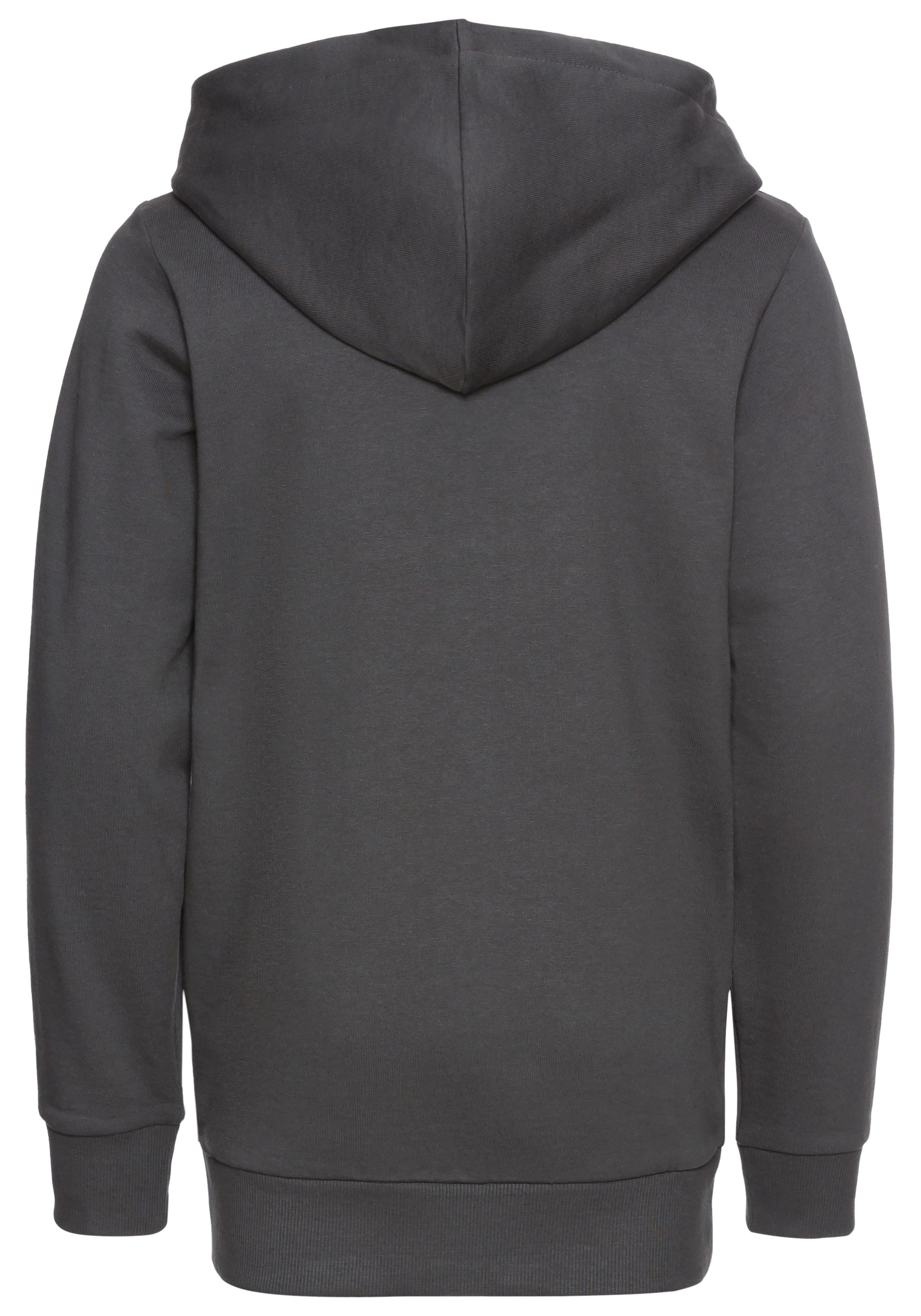 KIDSWORLD Kapuzensweatshirt GECKO - Print, cooles Tiermotiv