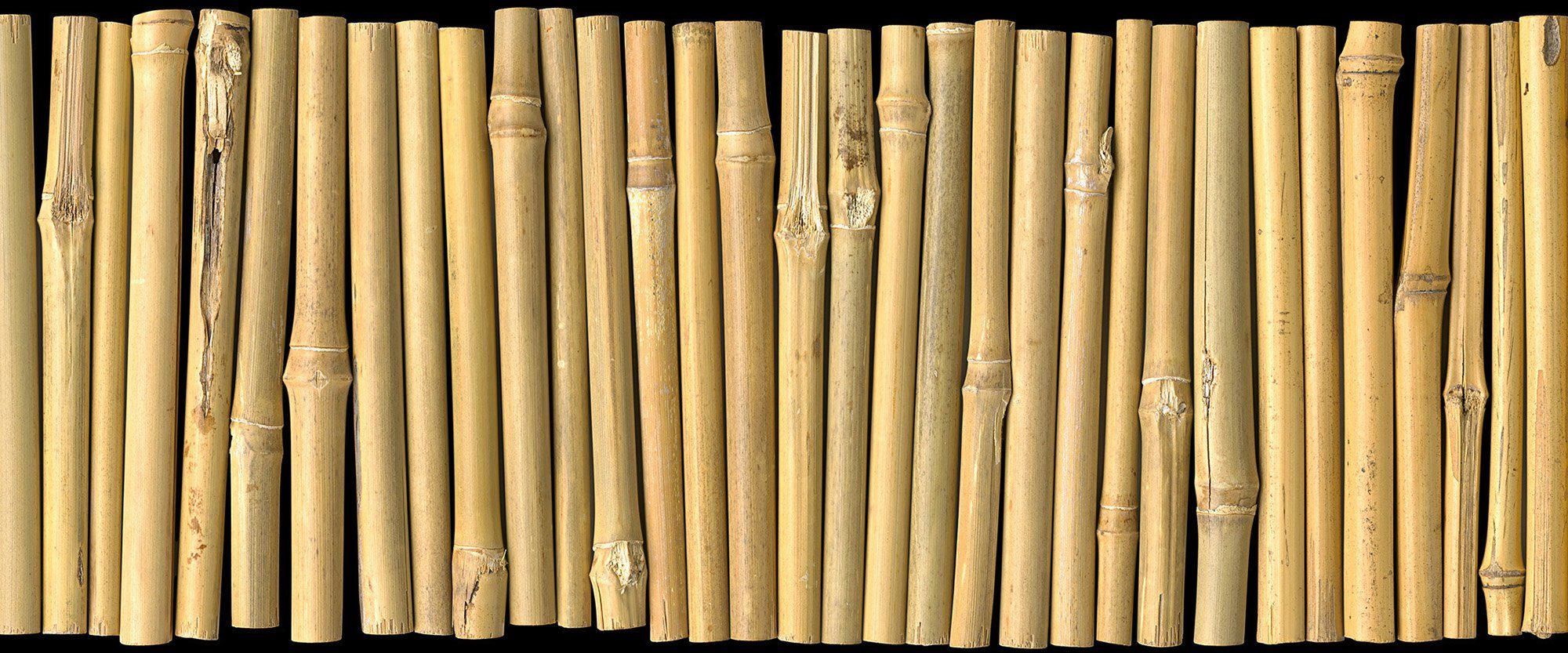Architects Paper Fototapete Bambus on Black, (Set, 6 St), Vlies, Wand, Schräge