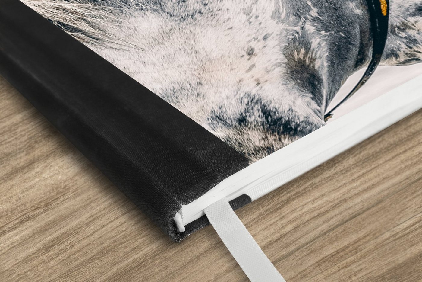 Thumbnail - MuchoWow Notizbuch Pferd - Gold - Halfter, Notebook, Notizblock a5, Tagebuch, Journal Liniert