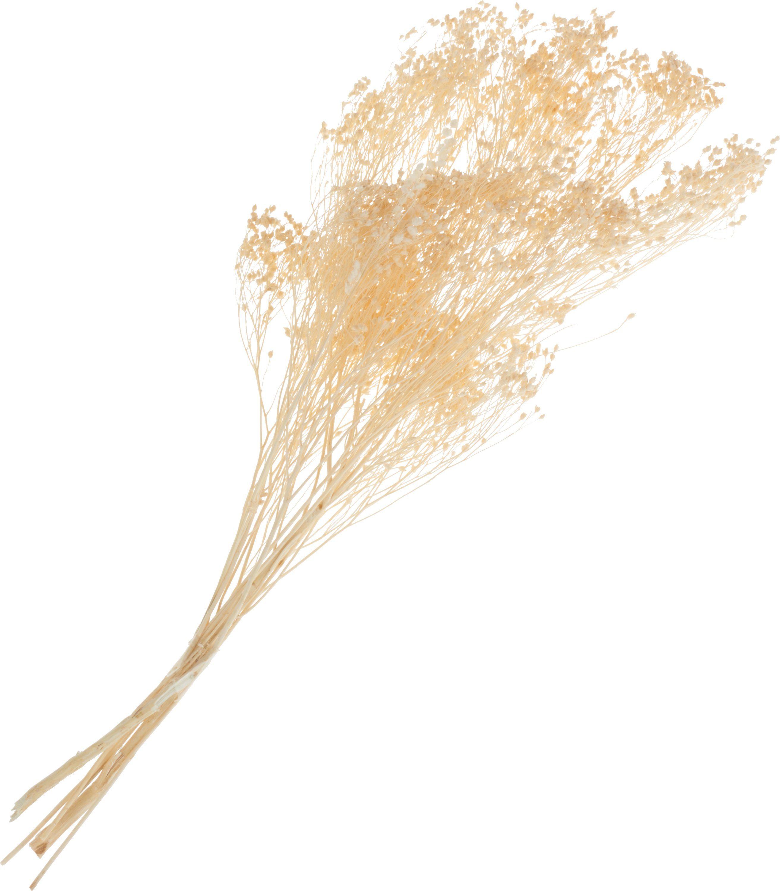 Kunstpflanze Broom Bloom, VBS, 40 cm