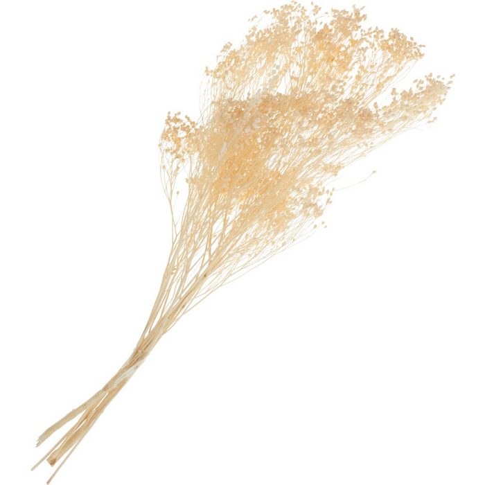 Kunstpflanze Broom Bloom VBS 40 cm
