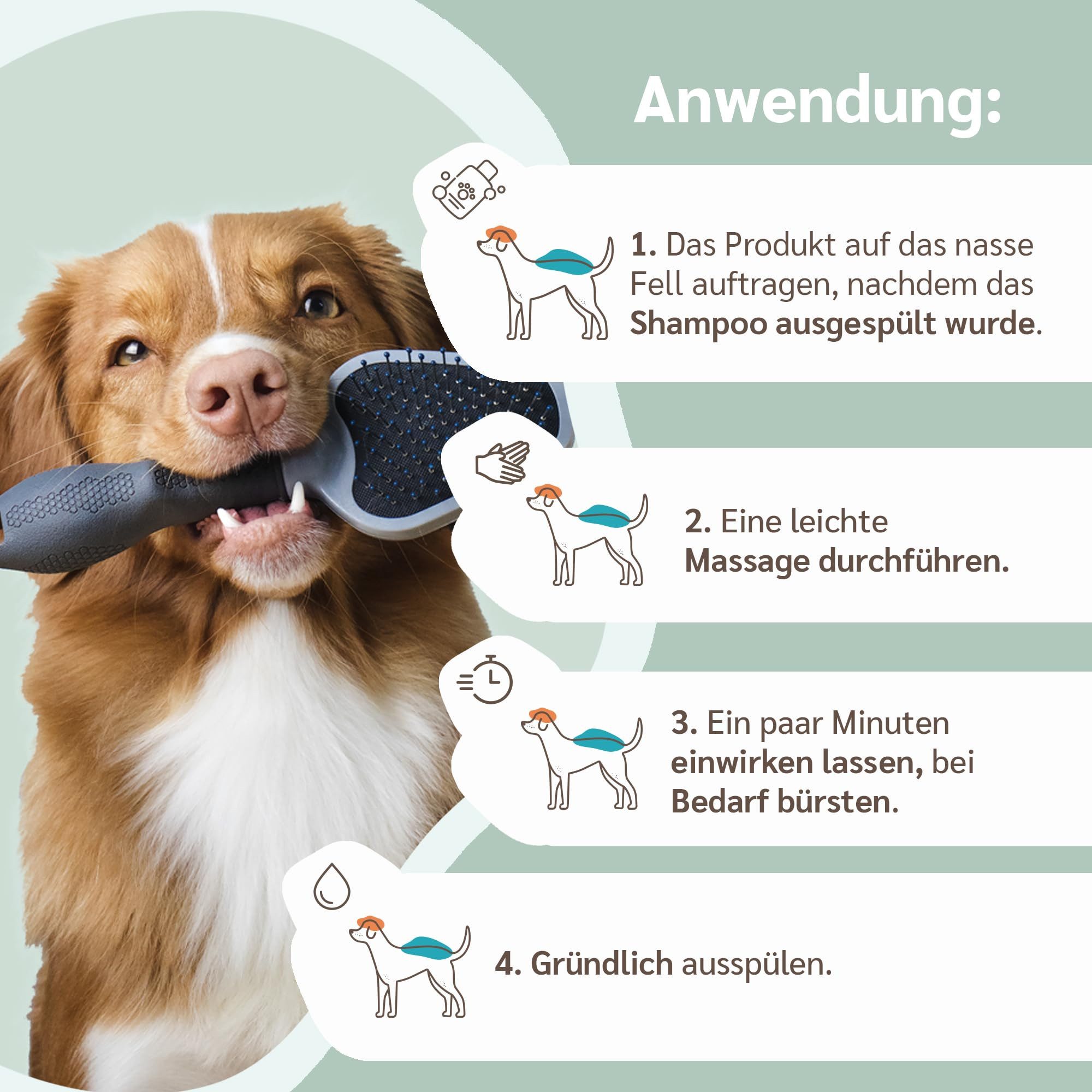 Amusi Fellpflege Balsam für Hunde mit langem Haar, hergestellt in Italien, 250 ml, (Hunde Conditioner Langhaar mit entwirrender Wirkung, antibakteriell und hautschützend), hypoallergen, mit veganem pflanzlichem