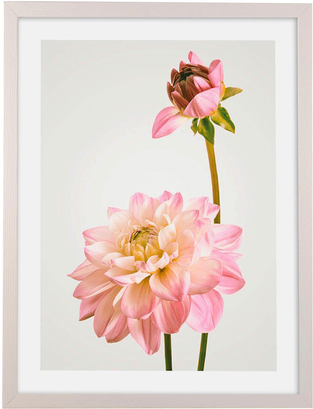 maschinell Bild Rahmen mit Delights, Komar Floral