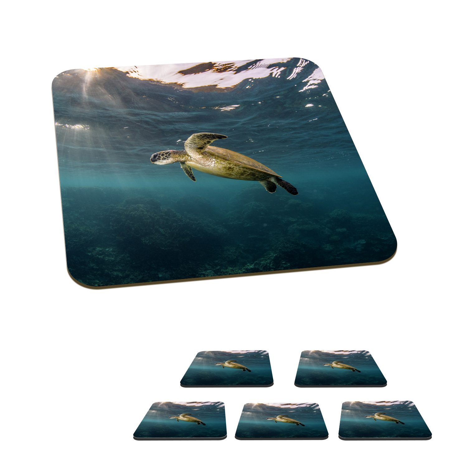 MuchoWow Glasuntersetzer Schildkröte im klaren Wasser, Zubehör für Gläser, 6-tlg., Glasuntersetzer, Tischuntersetzer, Korkuntersetzer, Untersetzer, Tasse