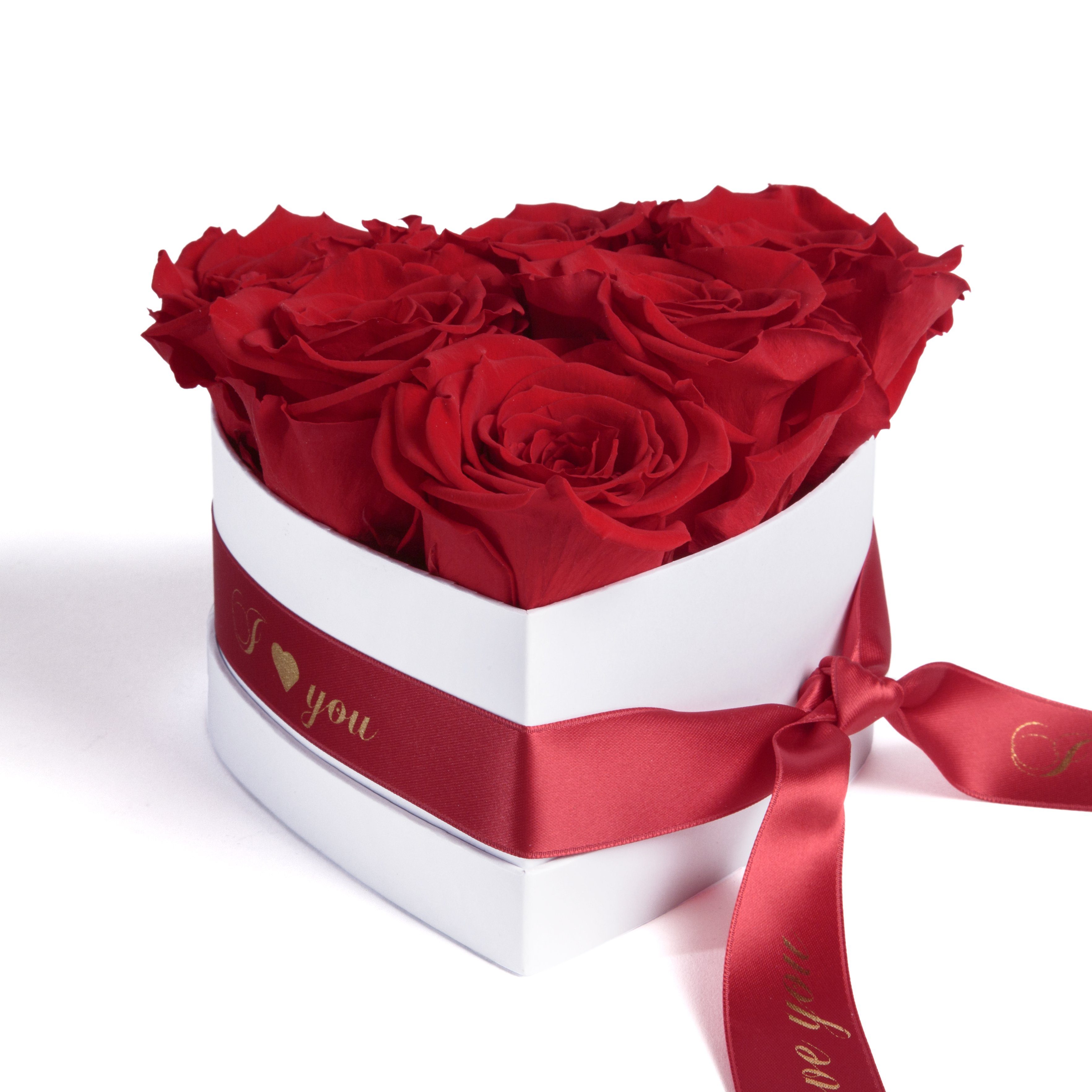 ROSEMARIE Geschenk Rot Love Frauen Geschenk You 10 SCHULZ Rosenbox für Herz Valentinstag Kunstblume Heidelberg, cm, Infinity I Frau Höhe Rose, 6 ewige für Rosen