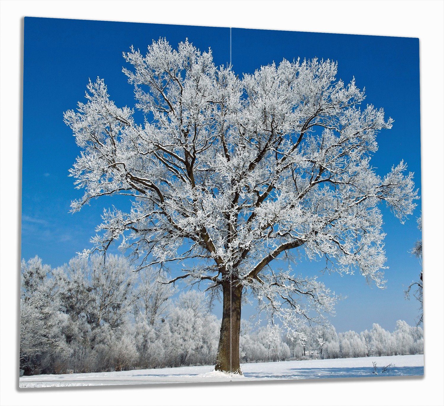 Wallario Herd-Abdeckplatte Schneebedeckter Baum mit blauen Himmel, ESG-Sicherheitsglas, (Glasplatte, 2 tlg., inkl. 5mm Noppen), verschiedene Größen