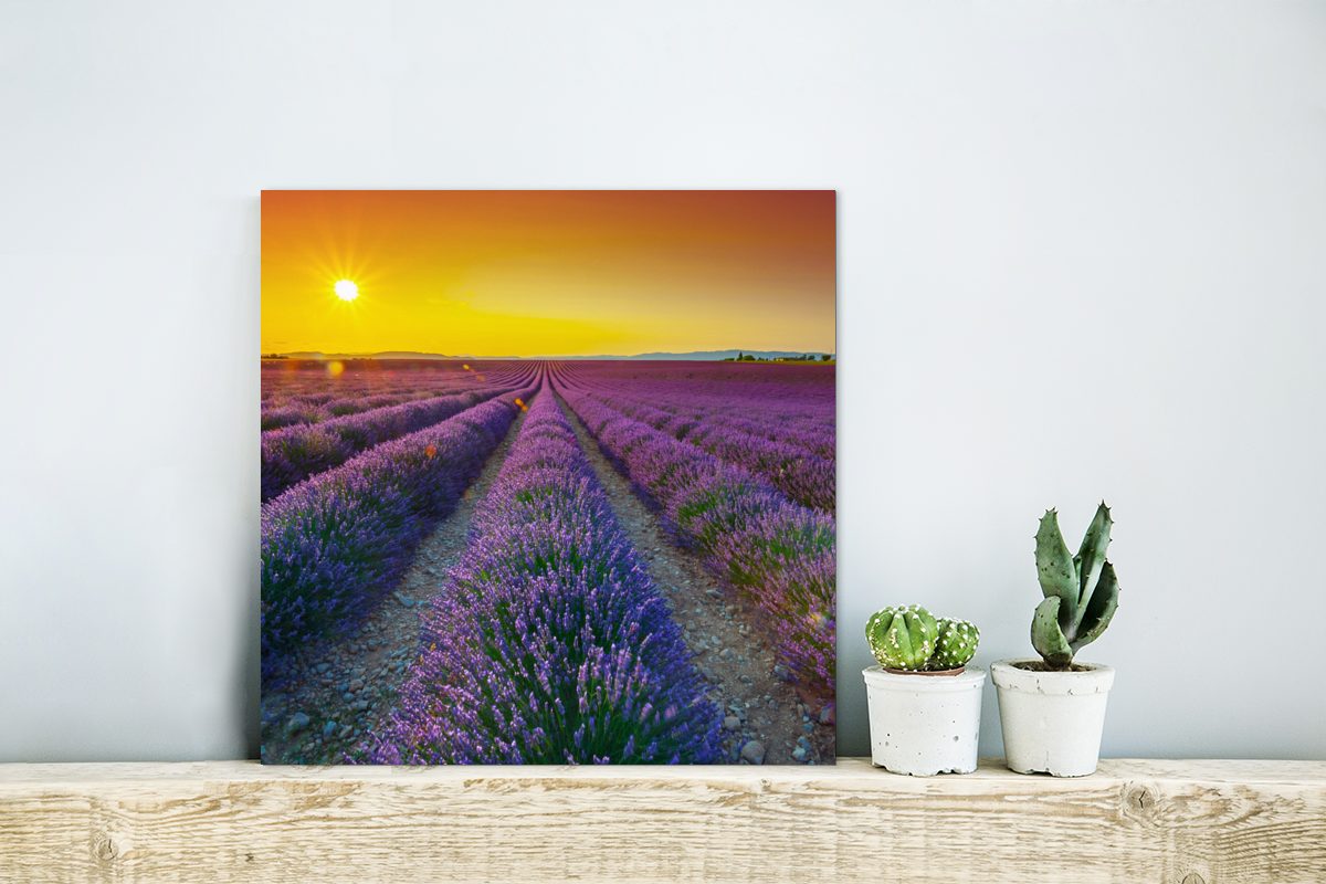 Metallbild Feld einem Metall, Aluminium Alu-Dibond-Druck, (1 Oranger Gemälde MuchoWow Sonnenuntergang aus voller über Lavendel, deko St),