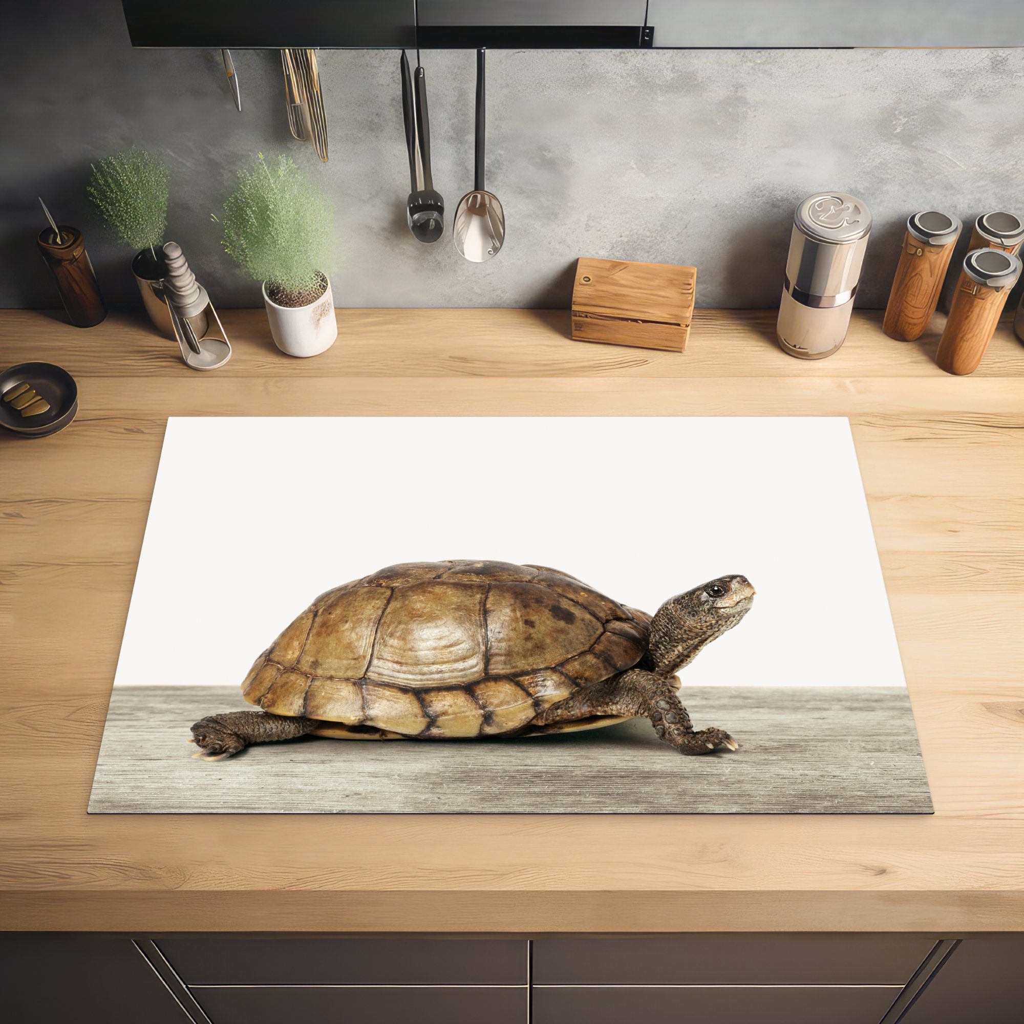 Arbeitsplatte Schildkröte Ceranfeldabdeckung, Tiere Junge für Kinder küche Herdblende-/Abdeckplatte Mädchen, tlg), - MuchoWow (1 - 77x51 Vinyl, - - cm,