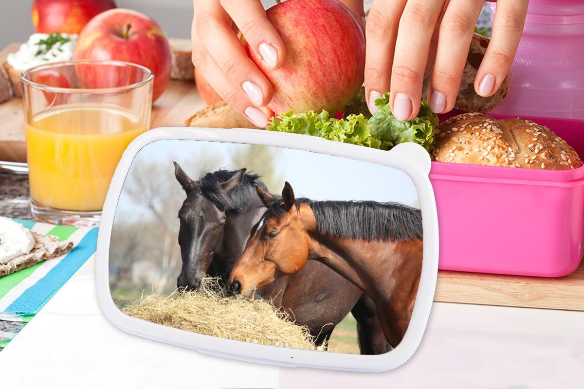 Snackbox, für rosa Kunststoff, - MuchoWow (2-tlg), Kunststoff Brotdose Brotbox Lunchbox Heu Tiere, Pferde - Kinder, Mädchen, Erwachsene,