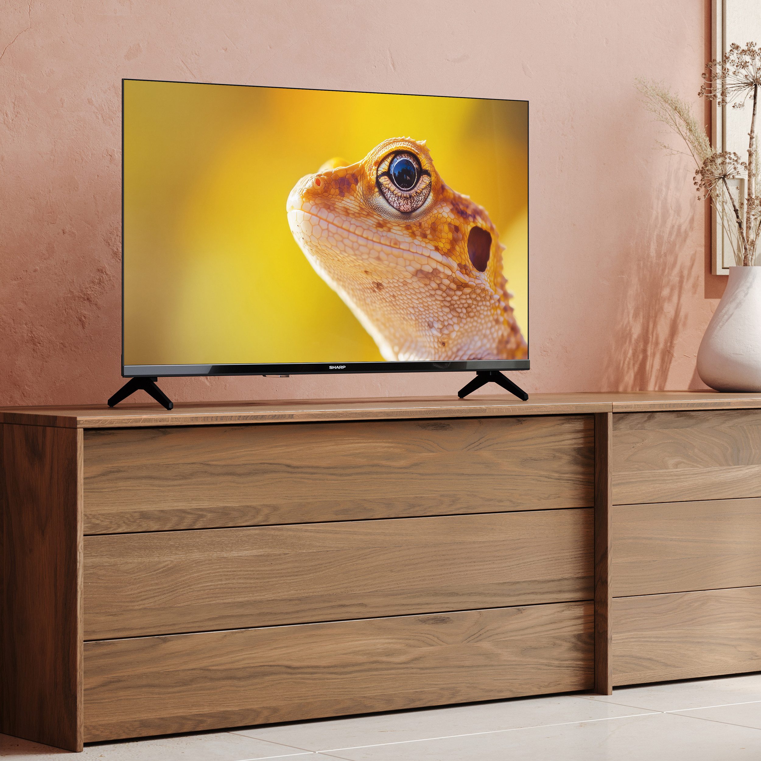 Sharp 32HA1705E LCD-LED Fernseher (80 cm/32 Zoll, HD-ready, HD-ready TV, Triple-Tuner, 3x HDMI / 2x USB)