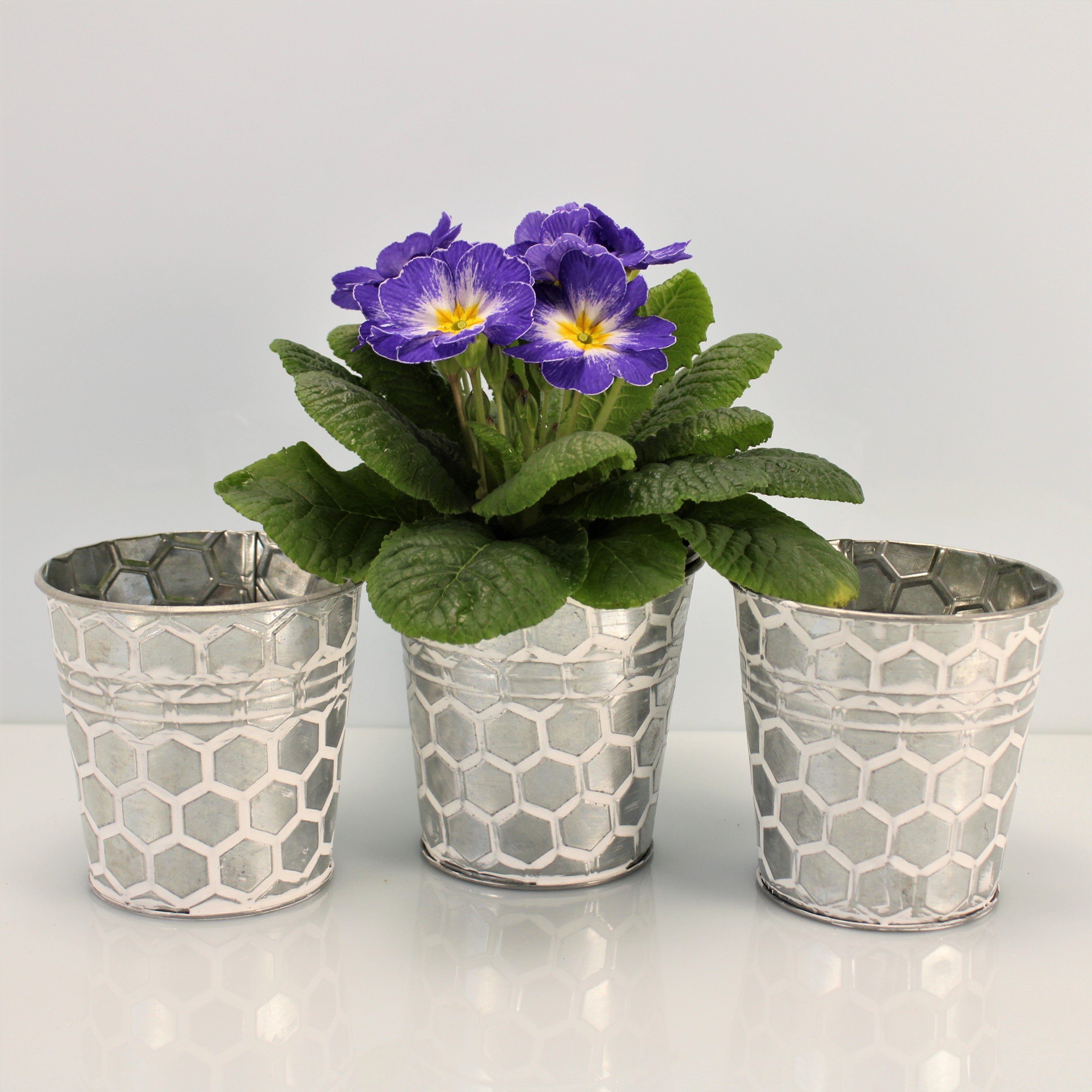 Online-Fuchs Blumentopf Runde silberne Blumentöpfe aus günstig online kaufen