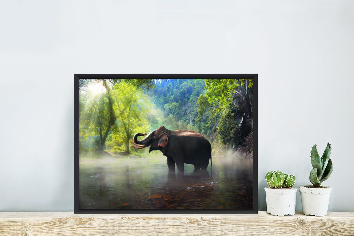 Natur, Poster, Wanddeko, Elefant Wasser Schwarzem (1 St), - Bilder, Wandposter, Bilderrahmen - Gerahmtes MuchoWow Poster