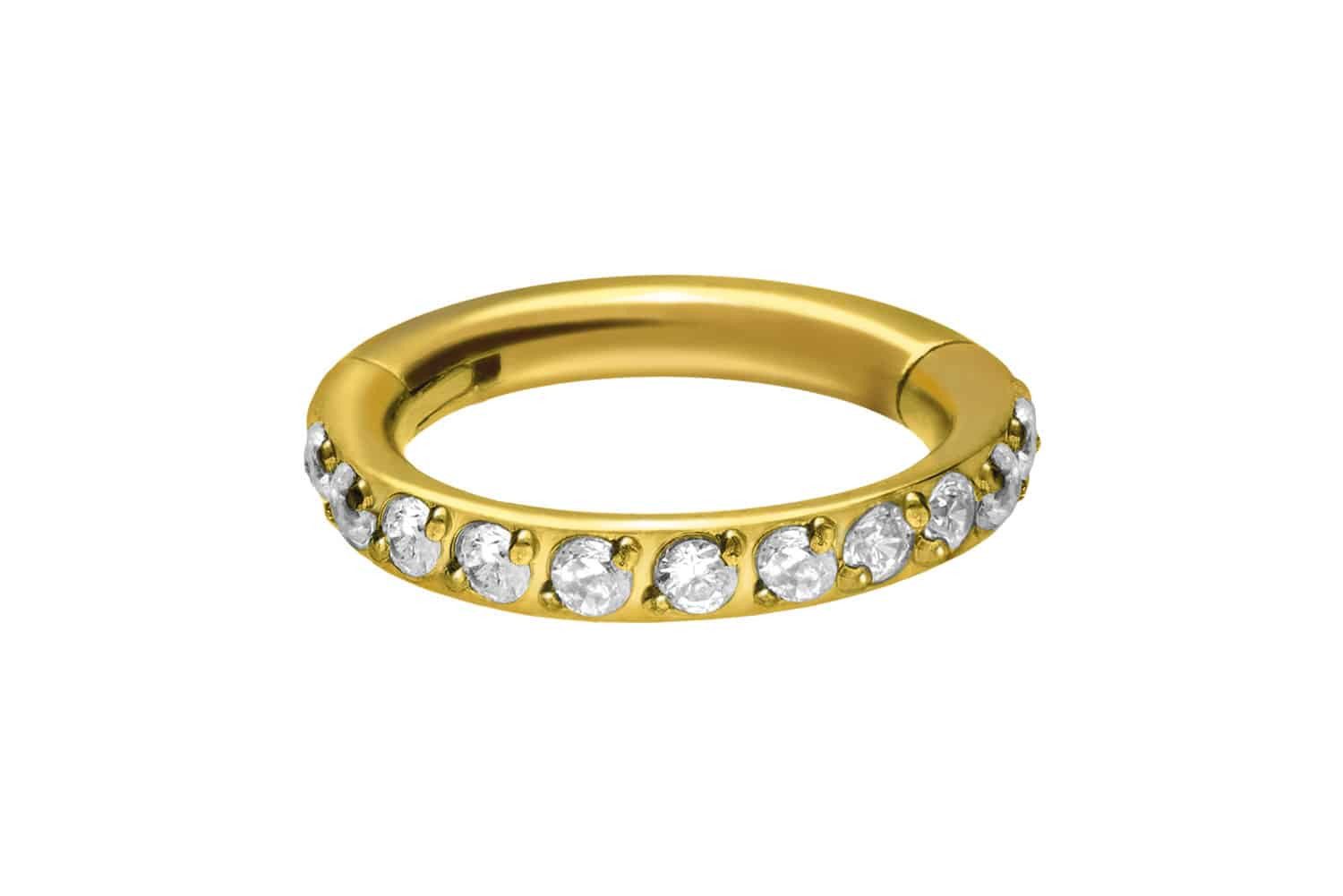 PIERCINGLINE Nasenpiercing Titan Segmentring Clicker EINGEFASSTE günstig online kaufen