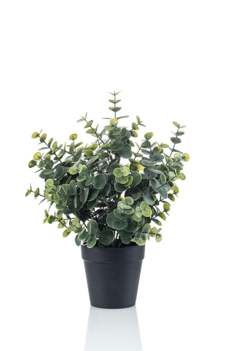 Kunstpflanze Deko Eukalyptus GLIWEN im Dekotopf, grün-grau, 30cm Eukalyptus, artplants, Höhe 30.0 cm