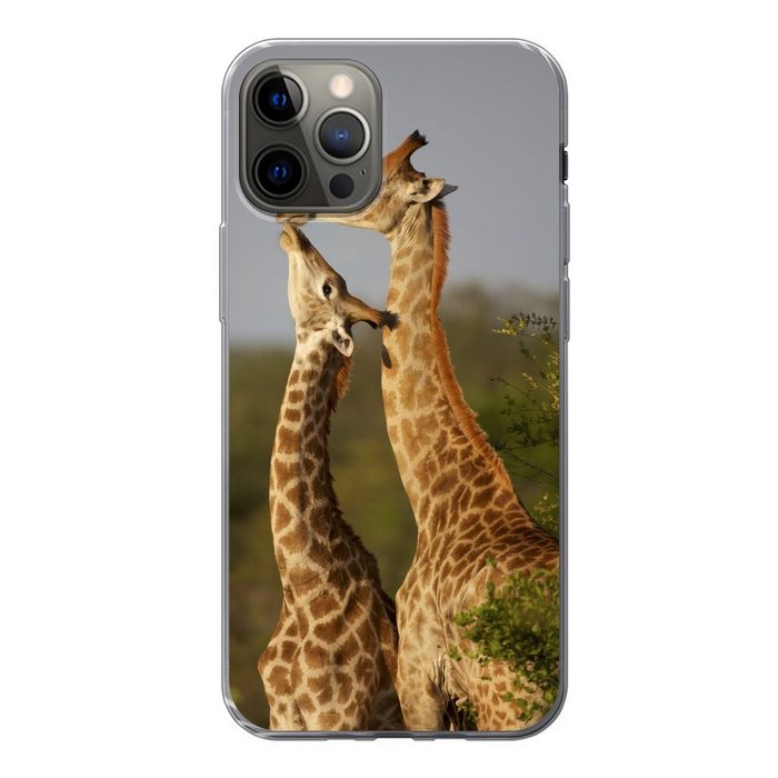 MuchoWow Handyhülle Giraffe - Baum - Kalb - Porträt Handyhülle Apple iPhone 12 Pro Smartphone-Bumper Print Handy
