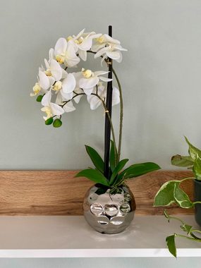 Kunstblume Orchidee Phalenopsis, weiß, real touch, ca. 53 cm inkl. silberner Vase, Dahlia Studios