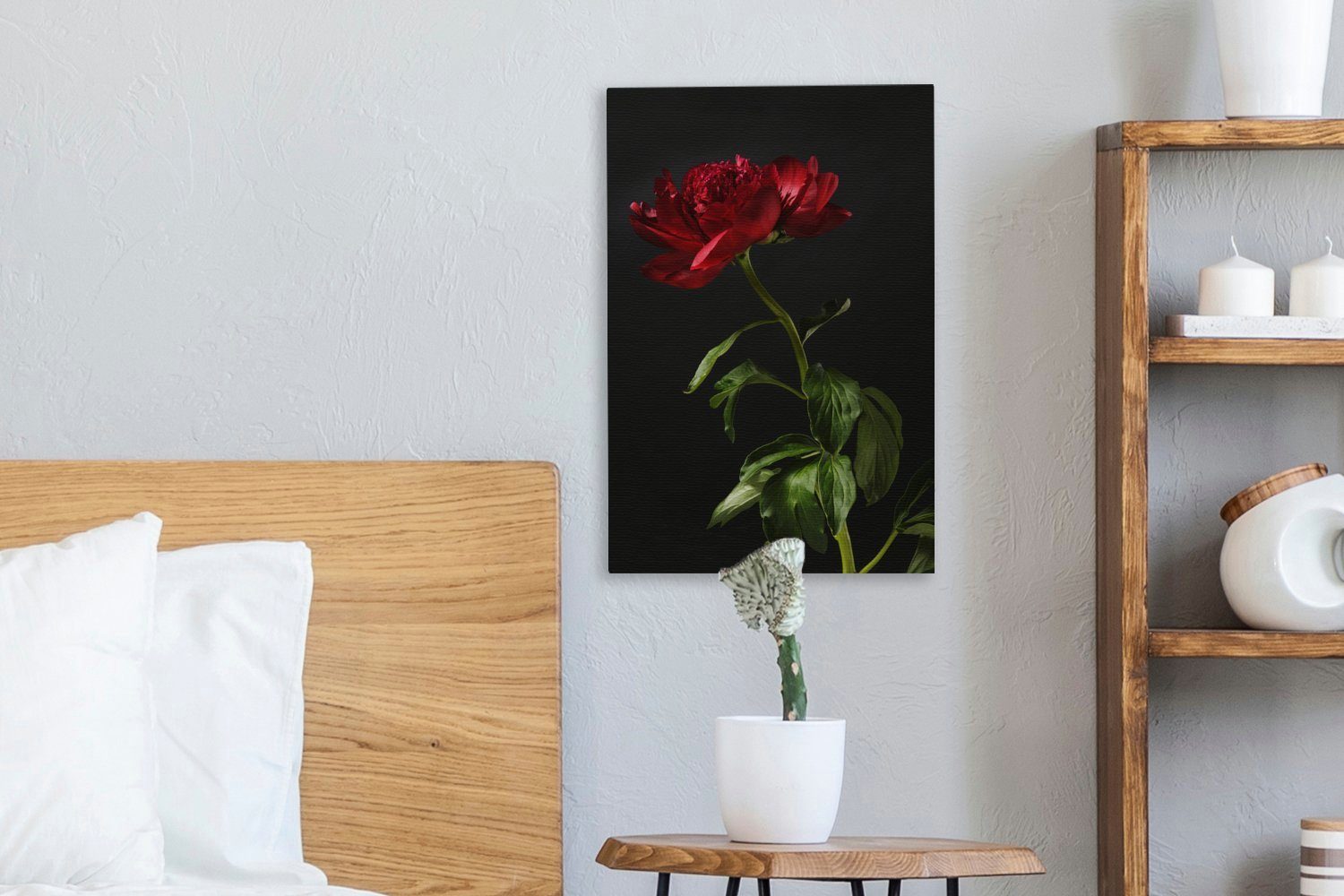 mit cm St), Gemälde, (1 OneMillionCanvasses® Pfingstrose Leinwandbild inkl. bespannt rote Zackenaufhänger, 20x30 schwarzem Hintergrund, einzelne Eine Leinwandbild fertig