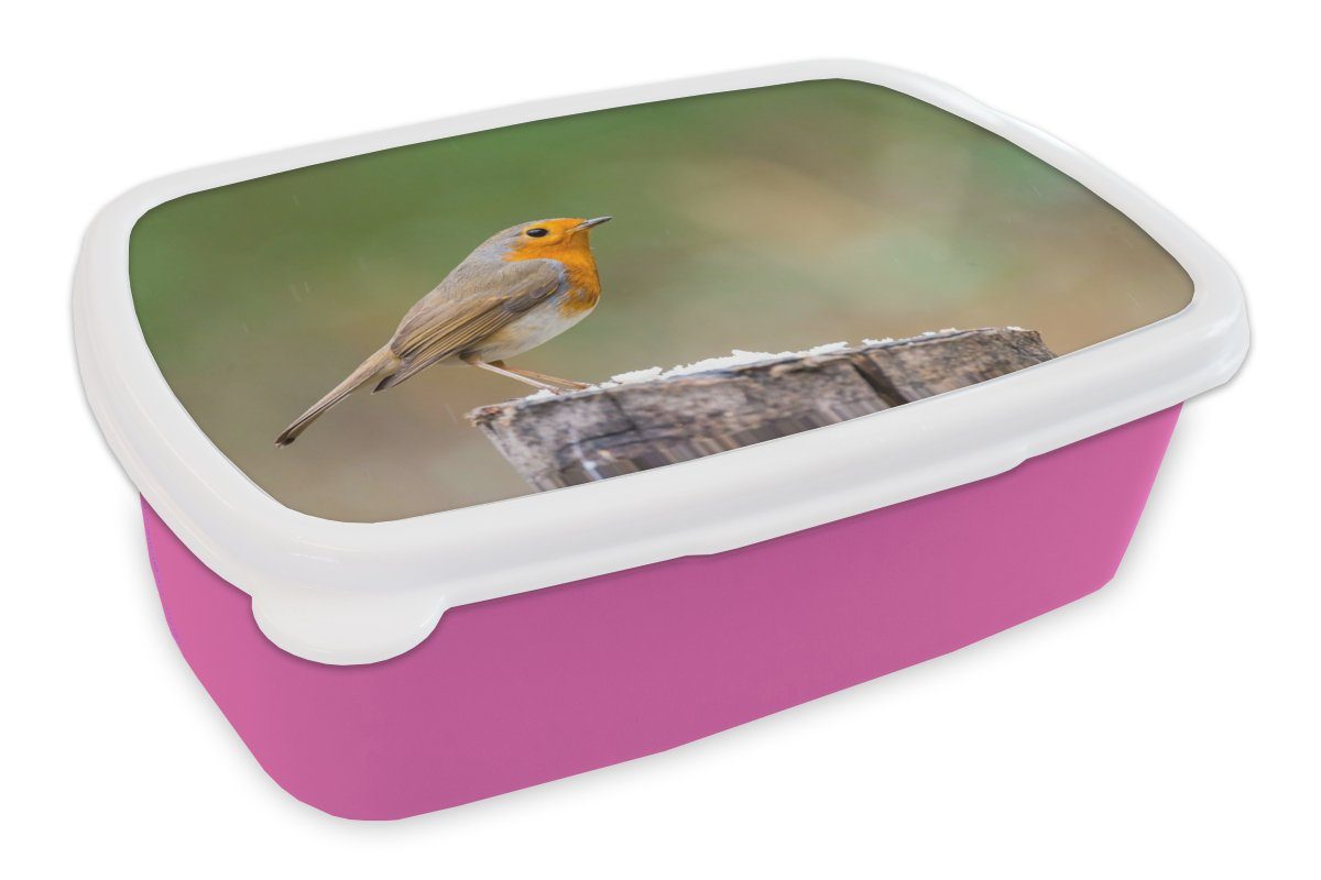 MuchoWow Lunchbox Tiere - Vogel - Rotkehlchen, Kunststoff, (2-tlg), Brotbox für Erwachsene, Brotdose Kinder, Snackbox, Mädchen, Kunststoff rosa