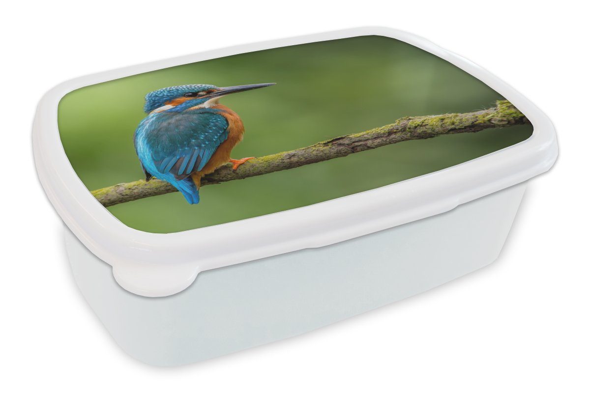 MuchoWow Lunchbox Eisvogel - Zweig - Moos - Vogel - Grün, Kunststoff, (2-tlg), Brotbox für Kinder und Erwachsene, Brotdose, für Jungs und Mädchen weiß