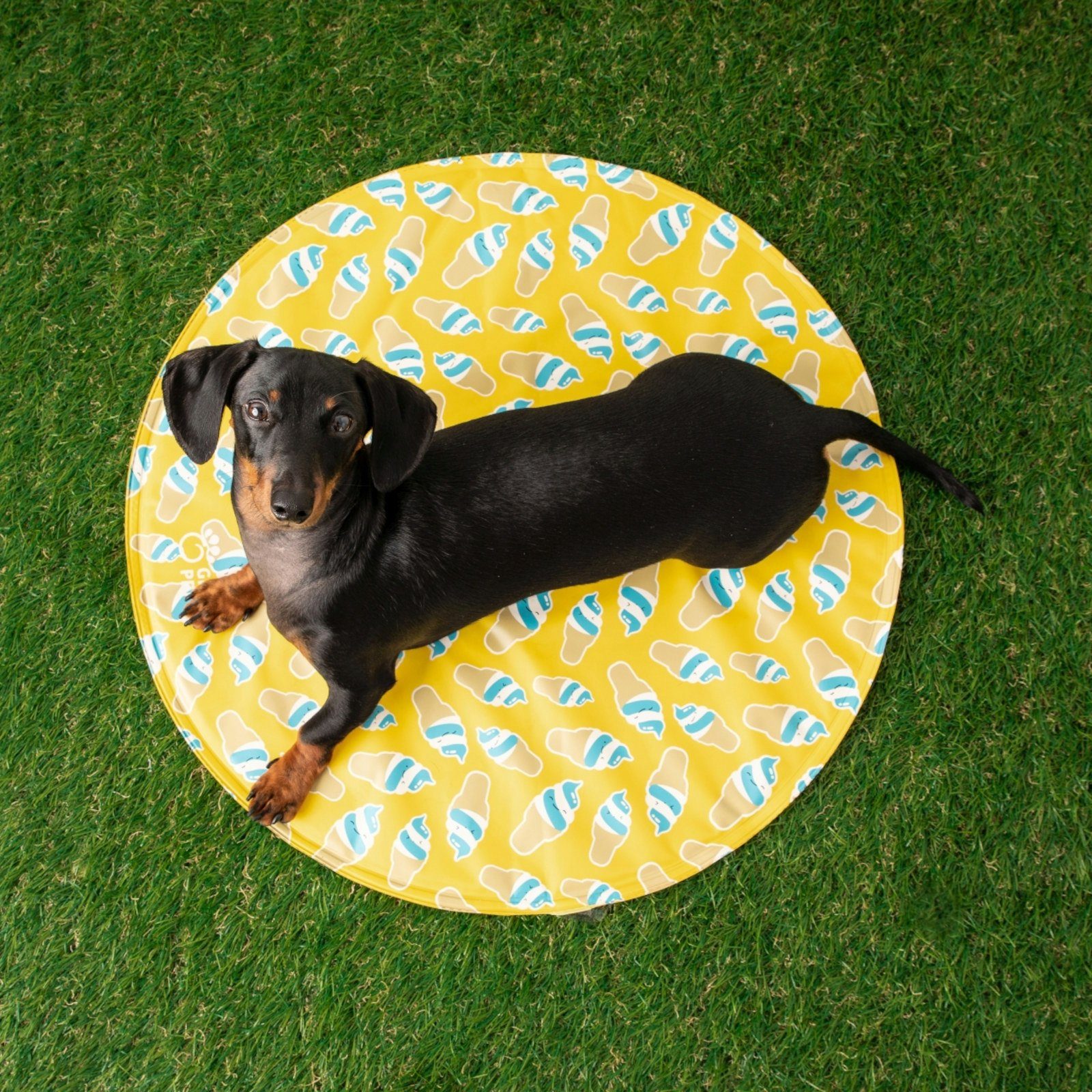 GF Pet Hundematte Elastofit Runde Kühlmatte günstig online kaufen