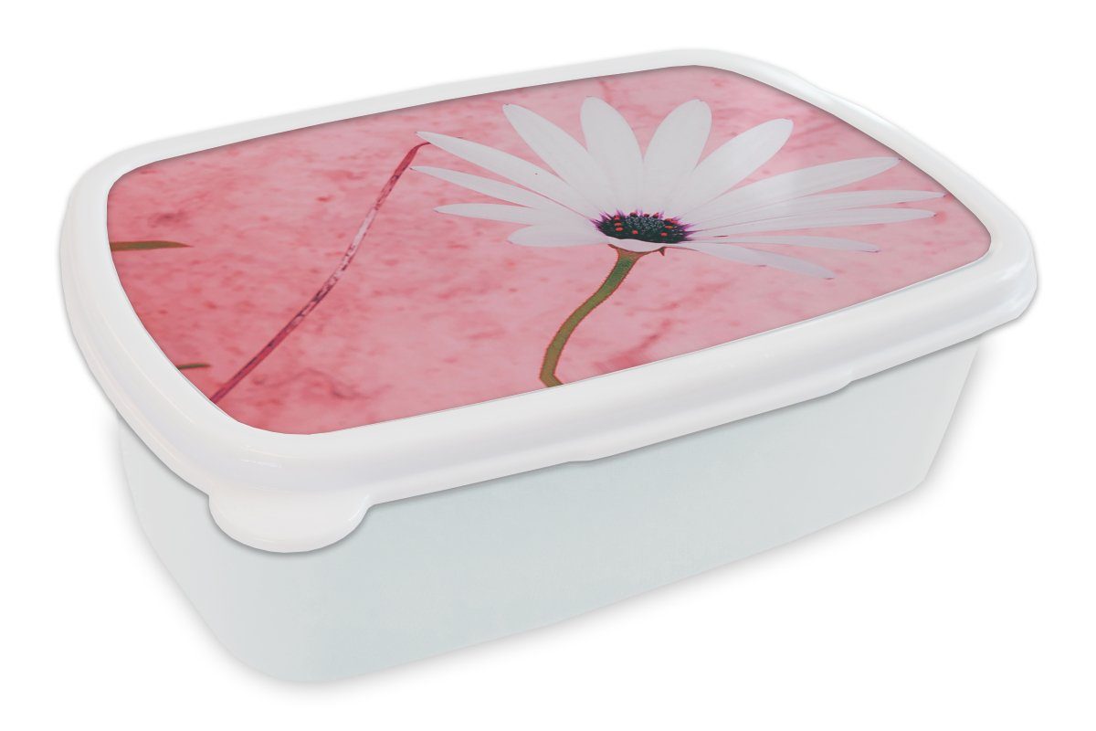 MuchoWow Lunchbox Blumen - Rosa - Vintage, Kunststoff, (2-tlg), Brotbox für Kinder und Erwachsene, Brotdose, für Jungs und Mädchen weiß