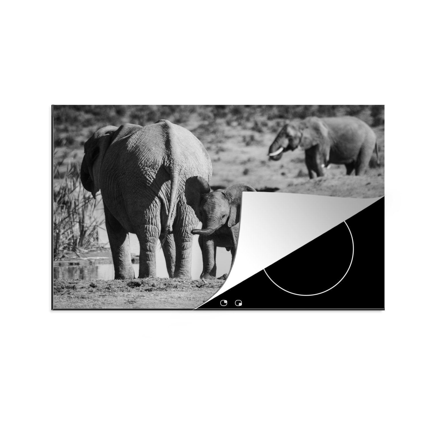 MuchoWow Herdblende-/Abdeckplatte Elefantenkalb am Wasser (schwarz/weiß), Vinyl, (1 tlg), 81x52 cm, Induktionskochfeld Schutz für die küche, Ceranfeldabdeckung