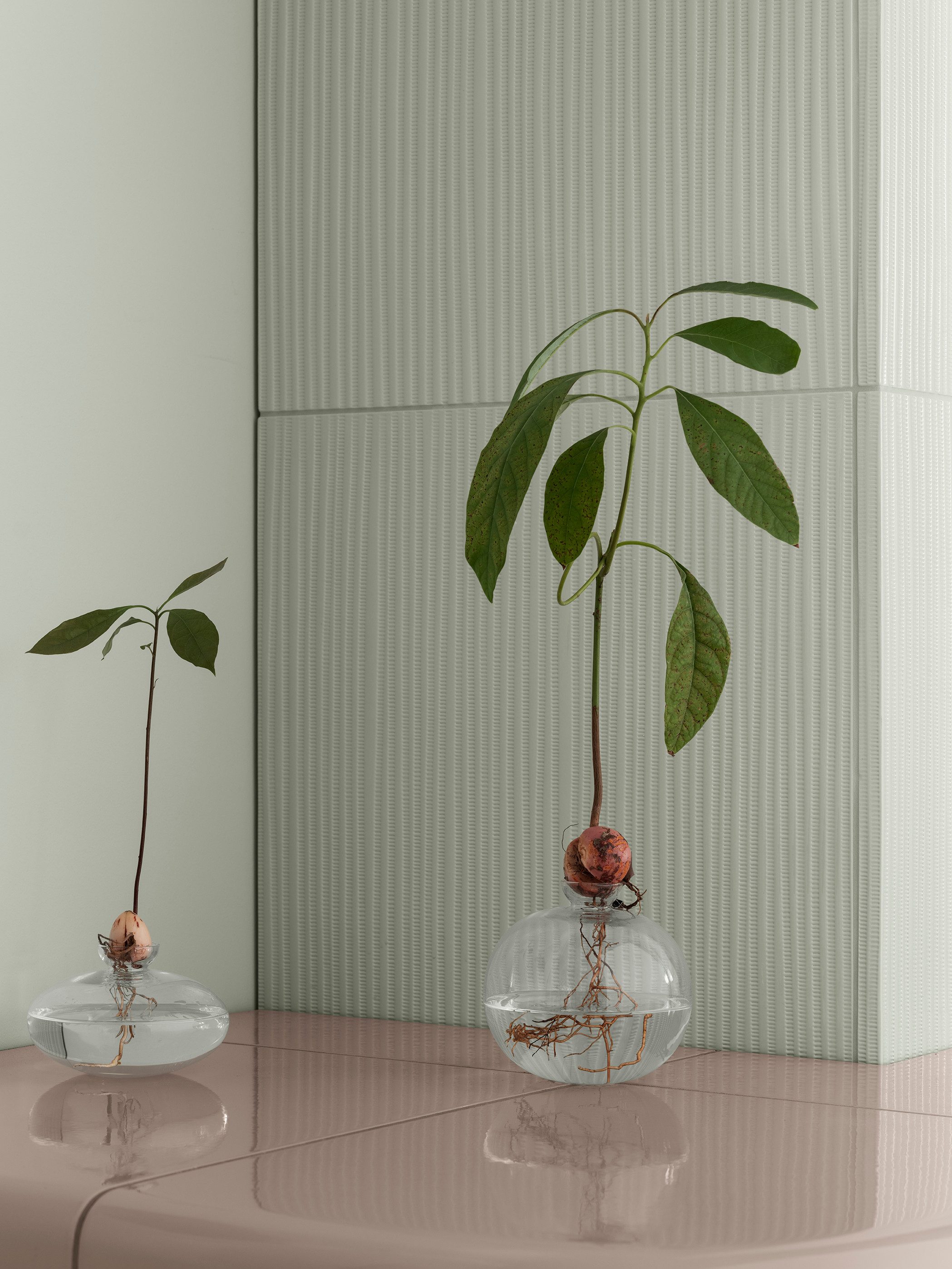 blomus Dekovase Vase -AVO- Blumenvase, Tischvase, Glasvase: mundgeblasen, Perfekt für Avocado, Eyecatcher, mundgeblasen – Bild 2 von 5