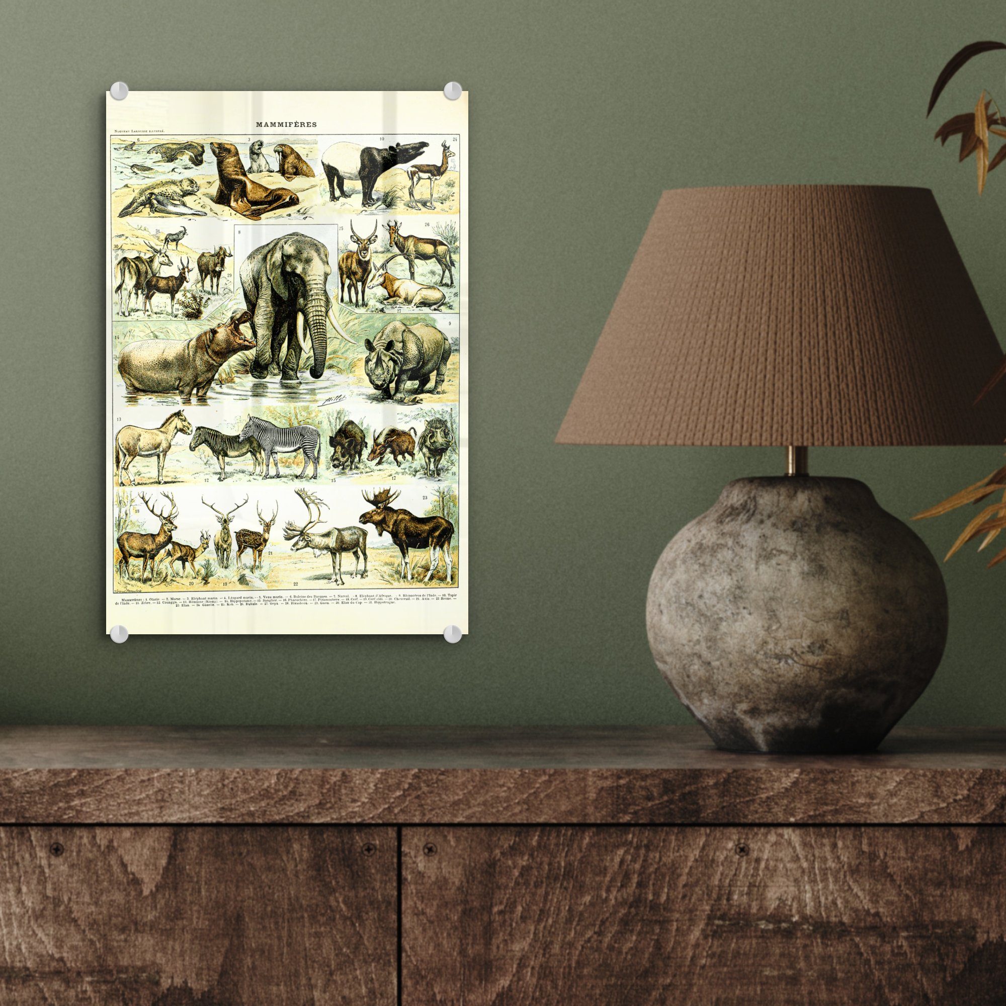 auf MuchoWow Bilder (1 Acrylglasbild - - Glas - Tiere Wanddekoration Wandbild Elefanten Hirsche, Foto auf St), Glasbilder Glas - -