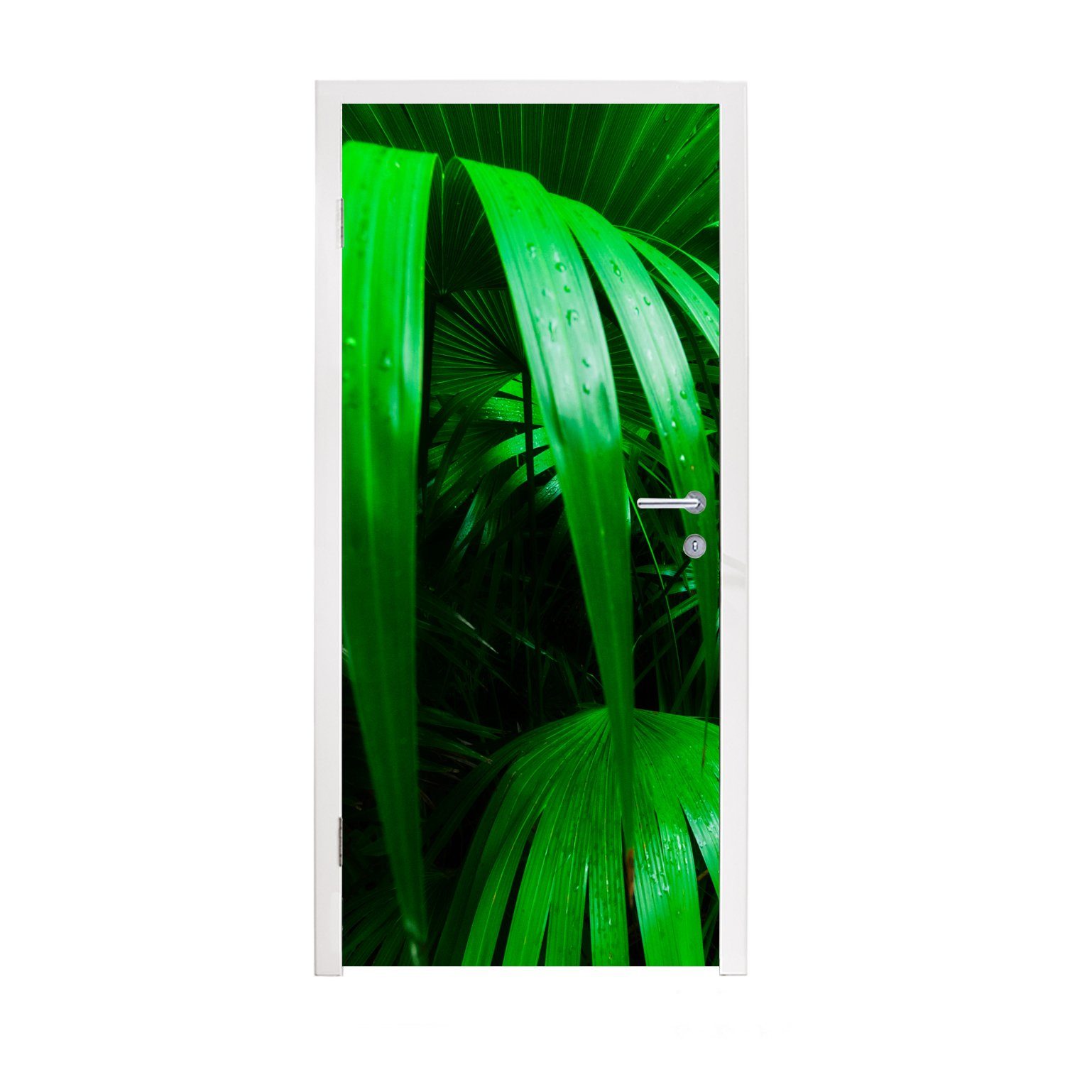 Palmenblätter bedruckt, für (1 im Dschungel, Türaufkleber, cm 75x205 St), Tür, Matt, MuchoWow Türtapete Fototapete