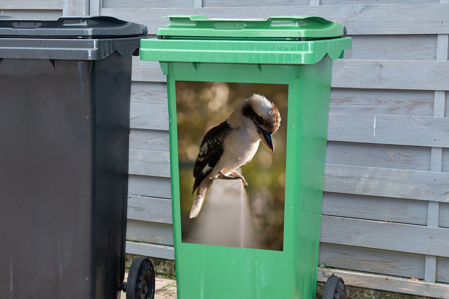 Kookaburra auf einem (1 sitzt Container, Geländer Ein Abfalbehälter St), Mülltonne, MuchoWow Mülleimer-aufkleber, Wandsticker Sticker,