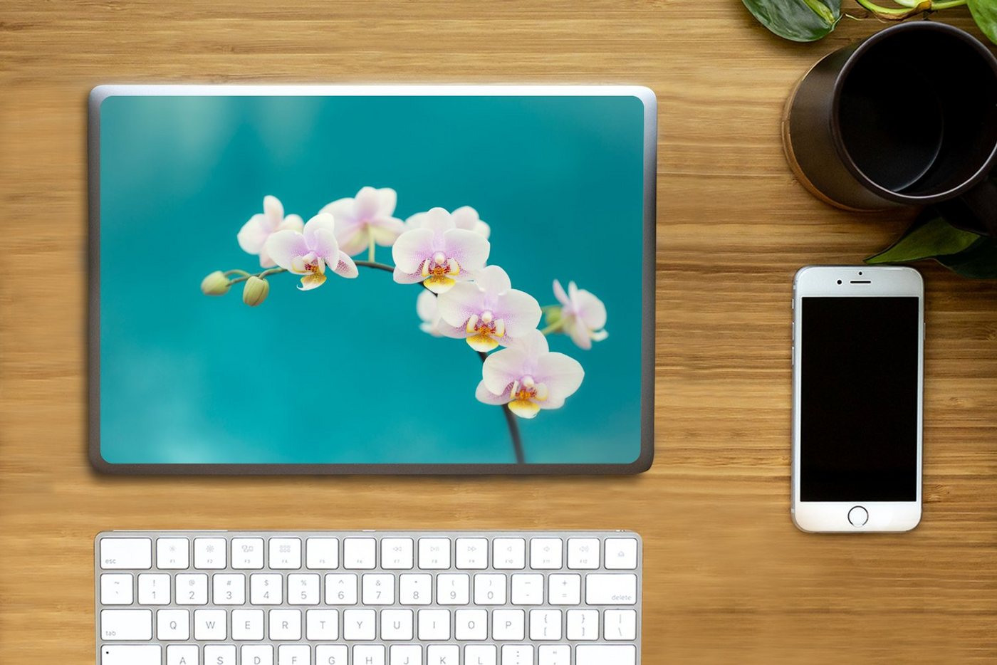 Thumbnail - MuchoWow Laptop-Aufkleber Orchidee - Blumen - Pflanze - Weiß - Lila