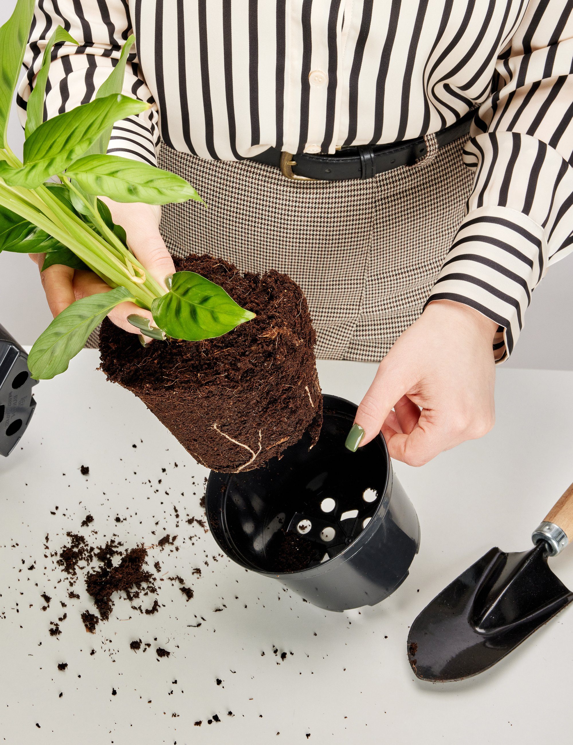 Garronda Blumentopf Blumentopf Kunststoff rund Pflanztopf günstig online kaufen