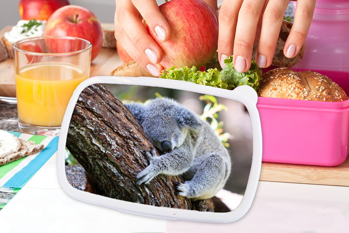 MuchoWow Lunchbox rosa Kunststoff, - für Kofferraum - Mädchen, Kinder, Kuscheltier Kunststoff Brotbox Erwachsene, (2-tlg), Brotdose Snackbox, Jungen - Mädchen, - Koala