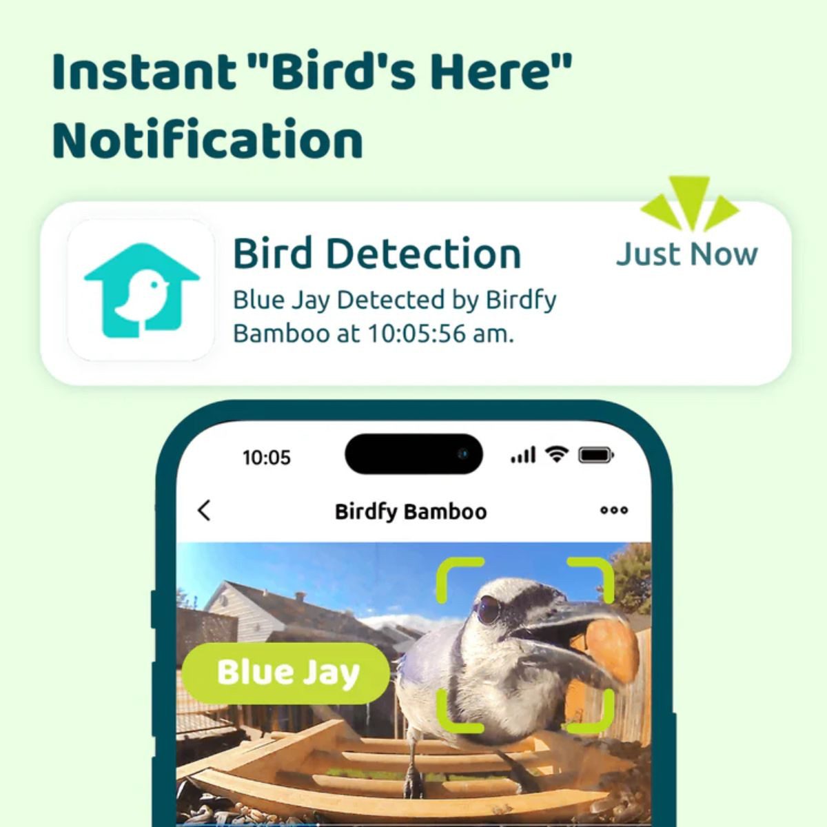 Birdfy Vogelhaus Bamboo, Bambus, mit KI-Kamera, Solar