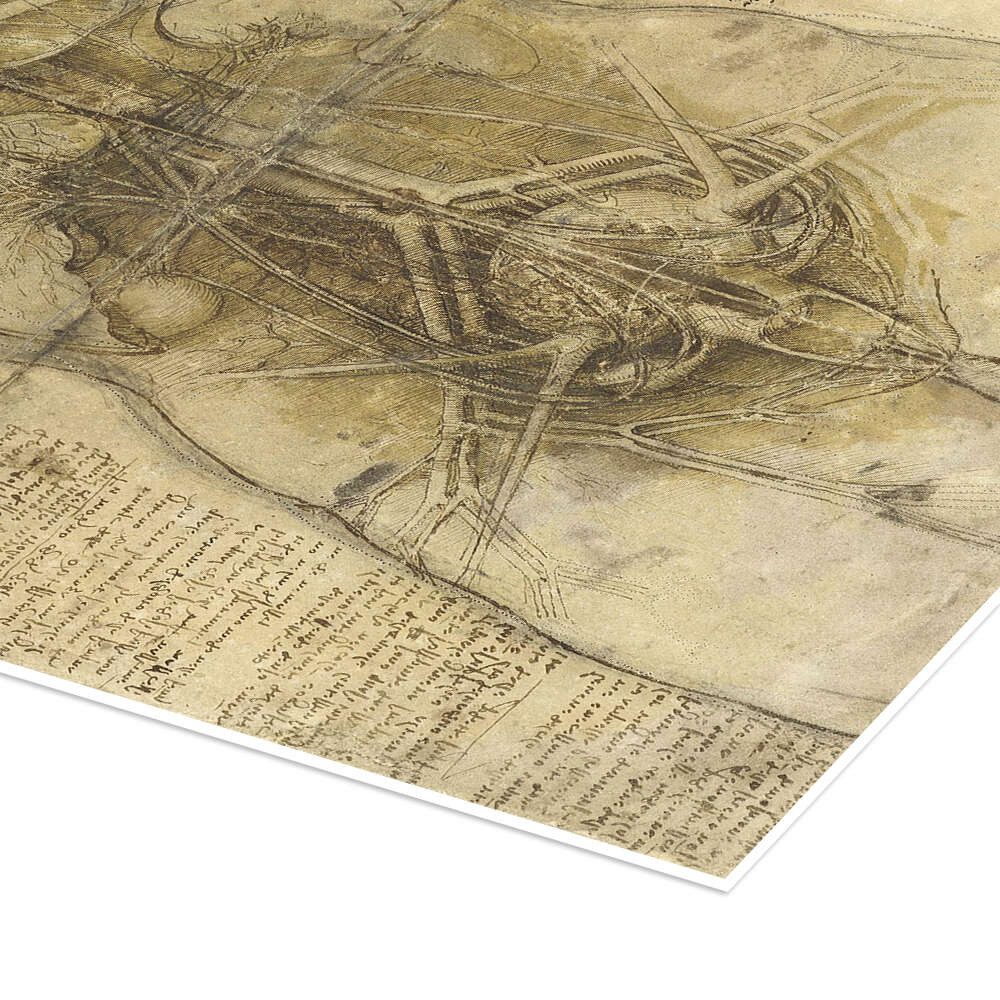 Posterlounge Wandbild Anatomie einer Frau, Leonardo da Vinci, erhältlich als Poster, Leinwandbild, Wandsticker oder Acrylglasbild