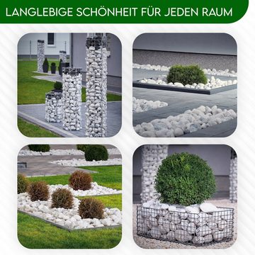 Best for Garden Kieselsteine Dolomitsteine 60-80 mm Natursteine, umweltfreundlich, (Zierkies 25–1000 kg Gartenkies Splitt Rheinkies Zen Dekosteine)